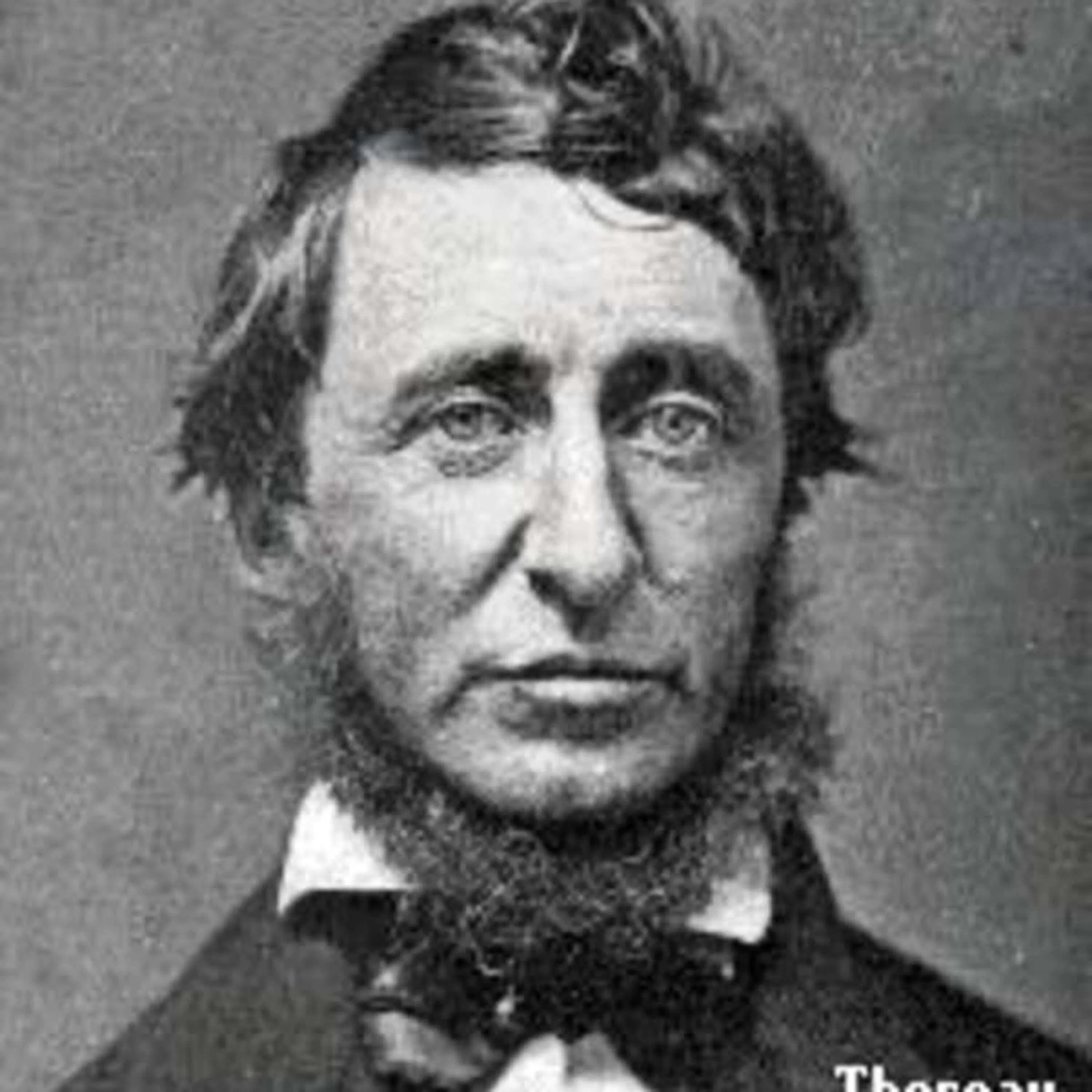 H.D. Thoreau - Une brique au visage des étatistes ?