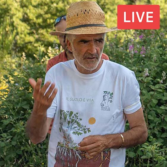 Cura del suolo e fertilità per l'orto. Con Fabio Pinzi