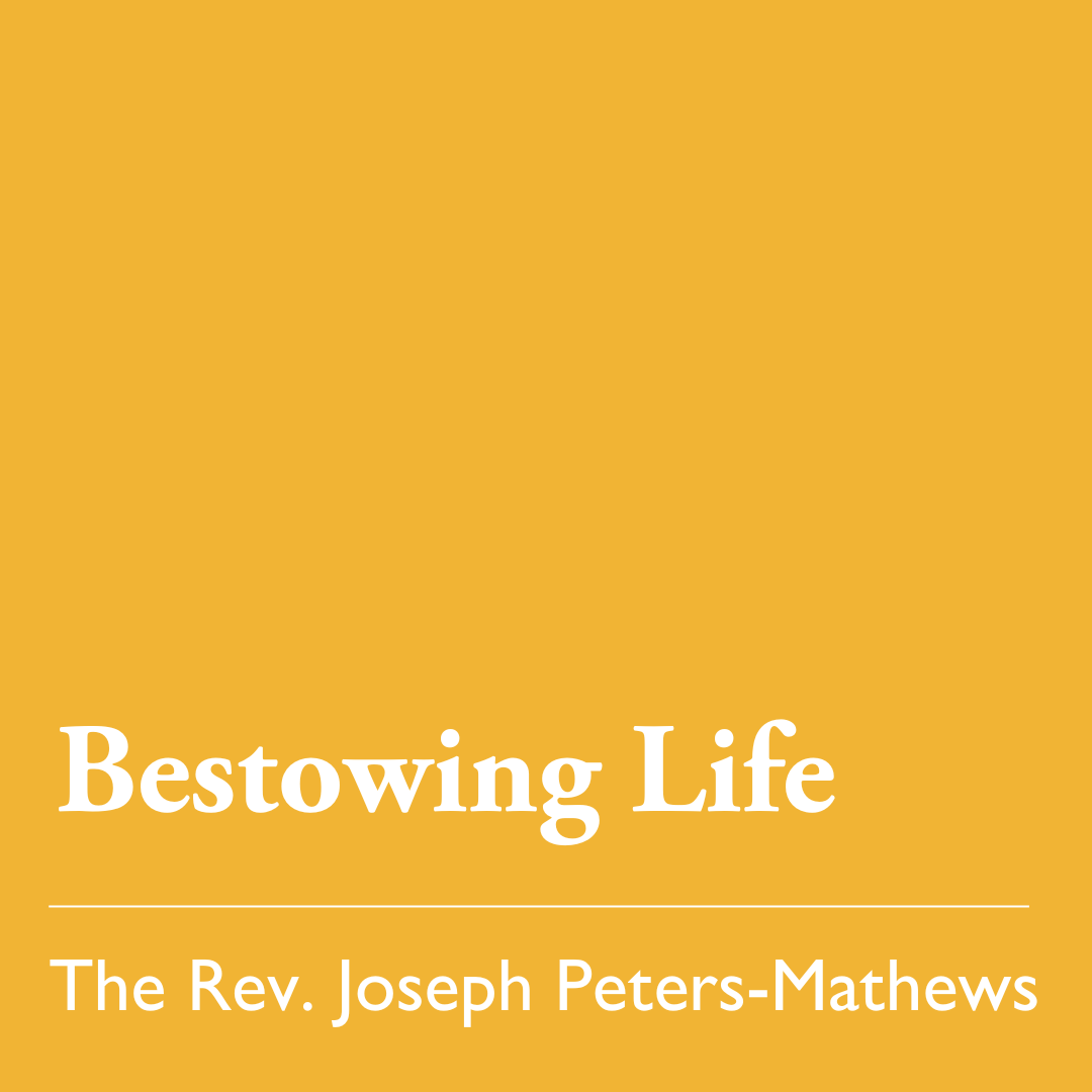 Easter 4 (C): Bestowing Life - May 11, 2025