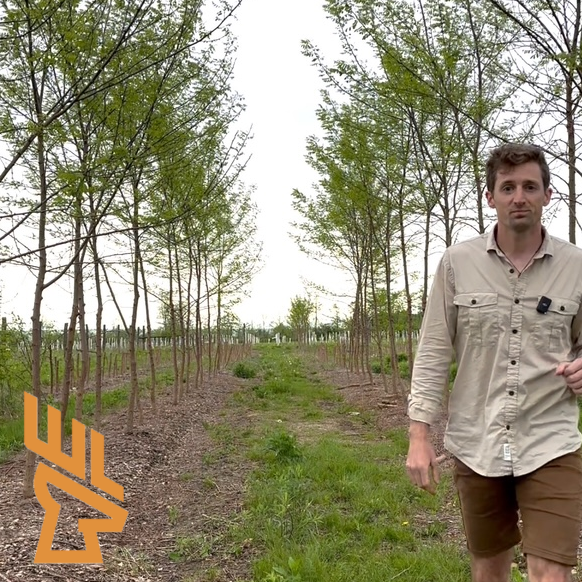 Whitetail Landscapes - Reshaping Your Farm with Trees, Income Generators, Fruit, Chestnuts