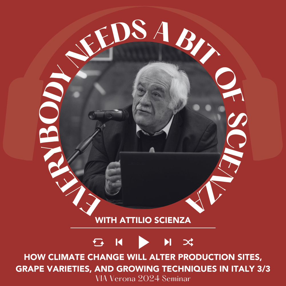 VIA 2024 - Climate Change pt 3 of 3 | Everybody Needs A Bit Of Scienza