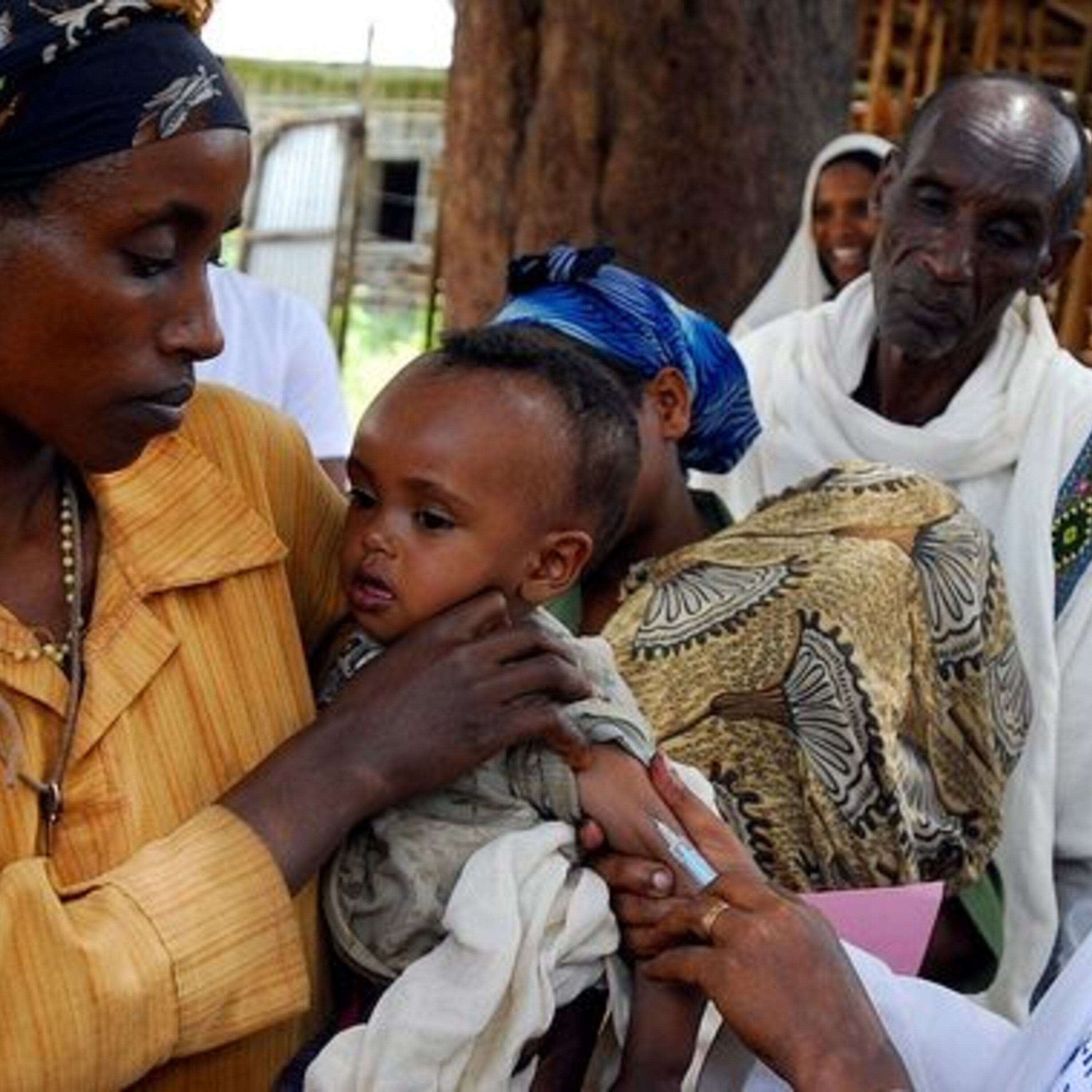 How the measles virus disables immunity to other diseases and a news roundup