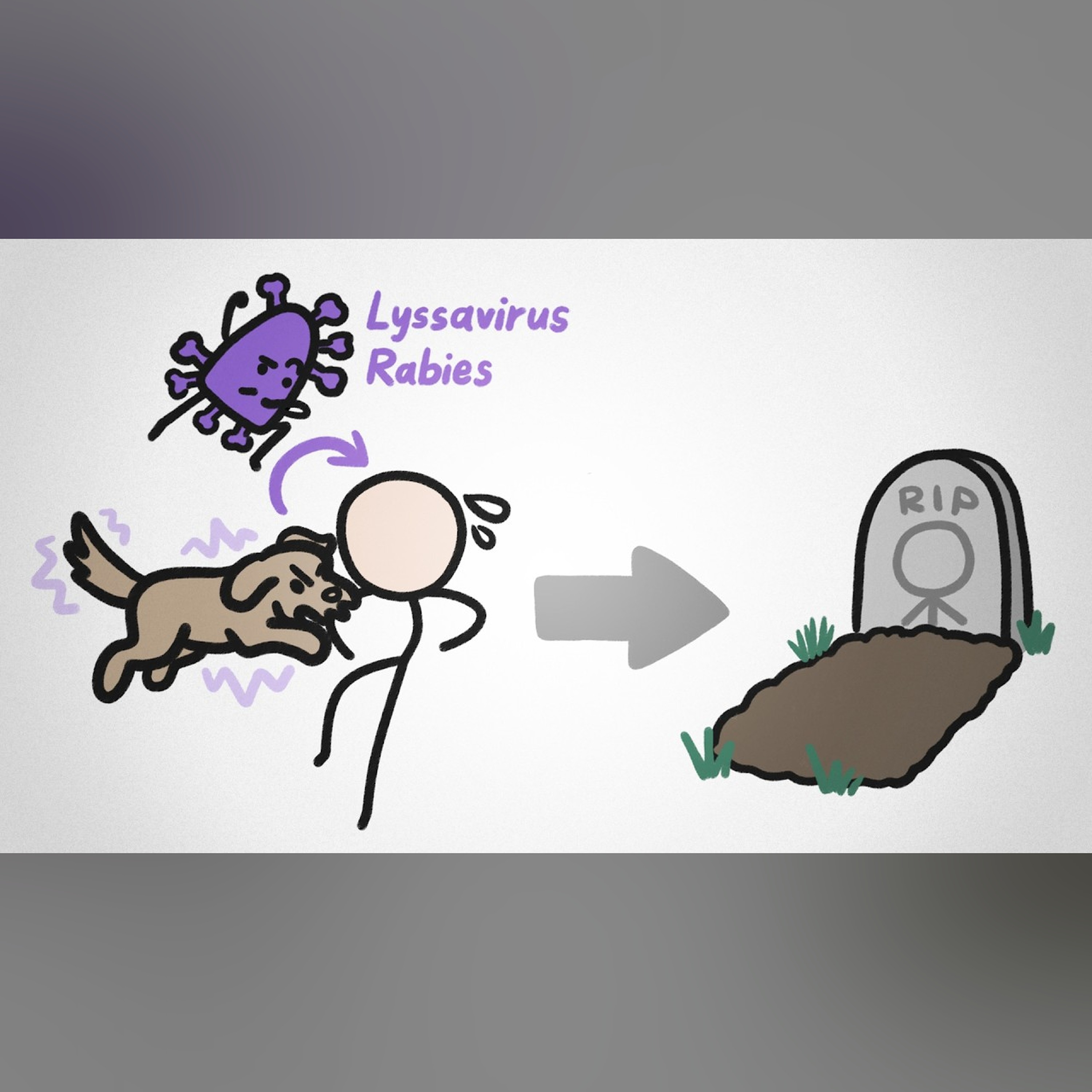 The Weird Reason Rabies Is So Deadly