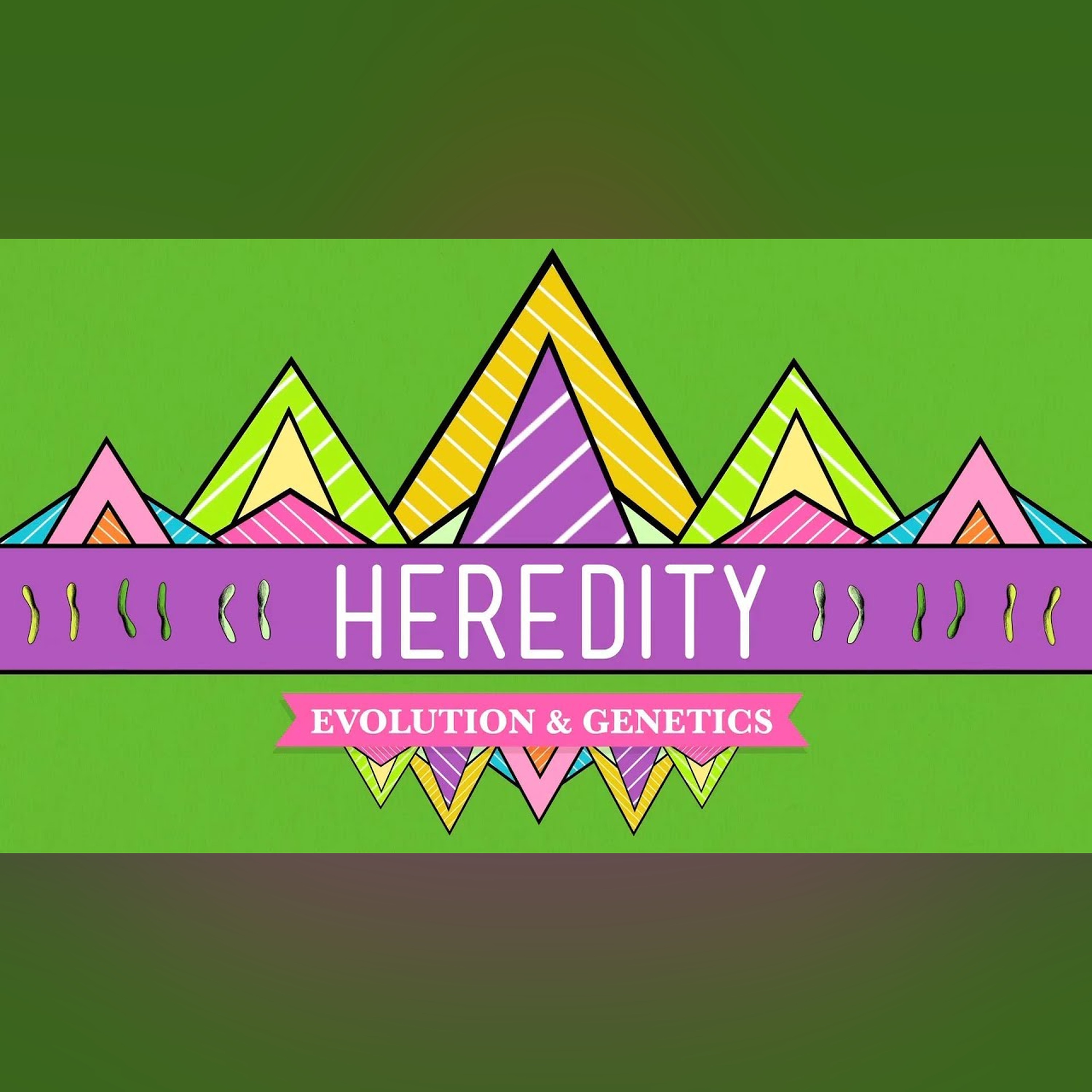 Heredity: Crash Course Biology #9