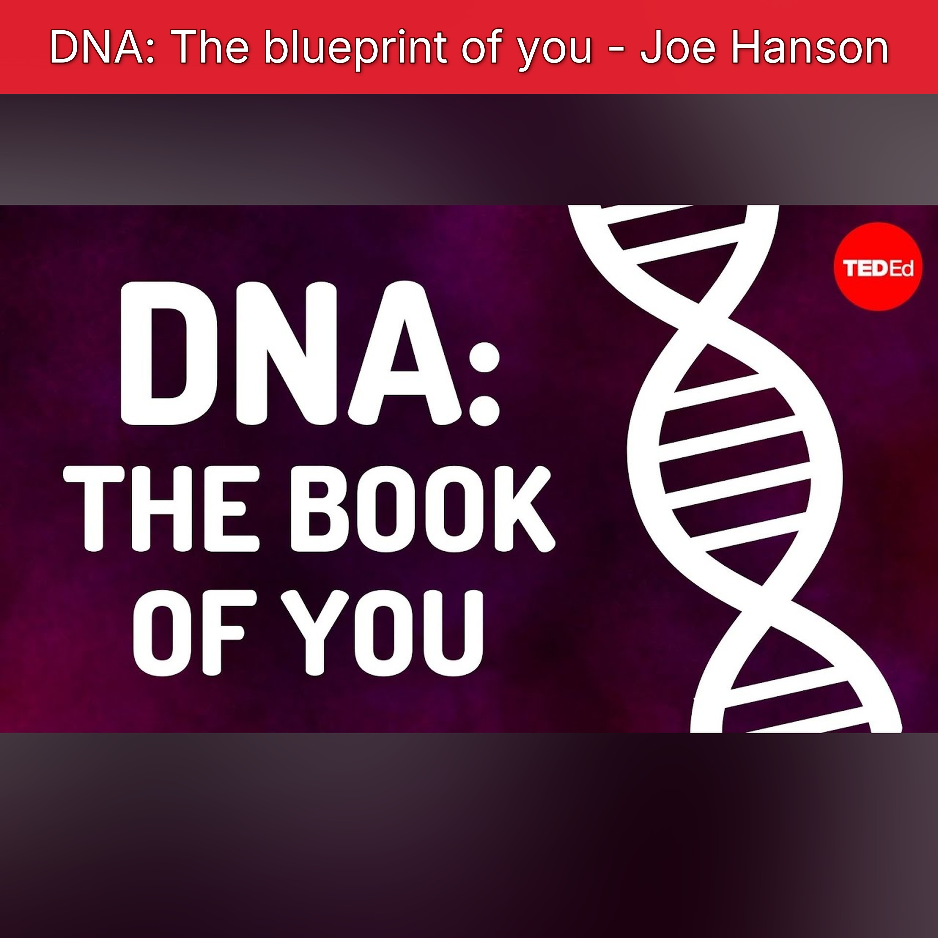 DNA: The blueprint of you - Joe Hanson episode artwork