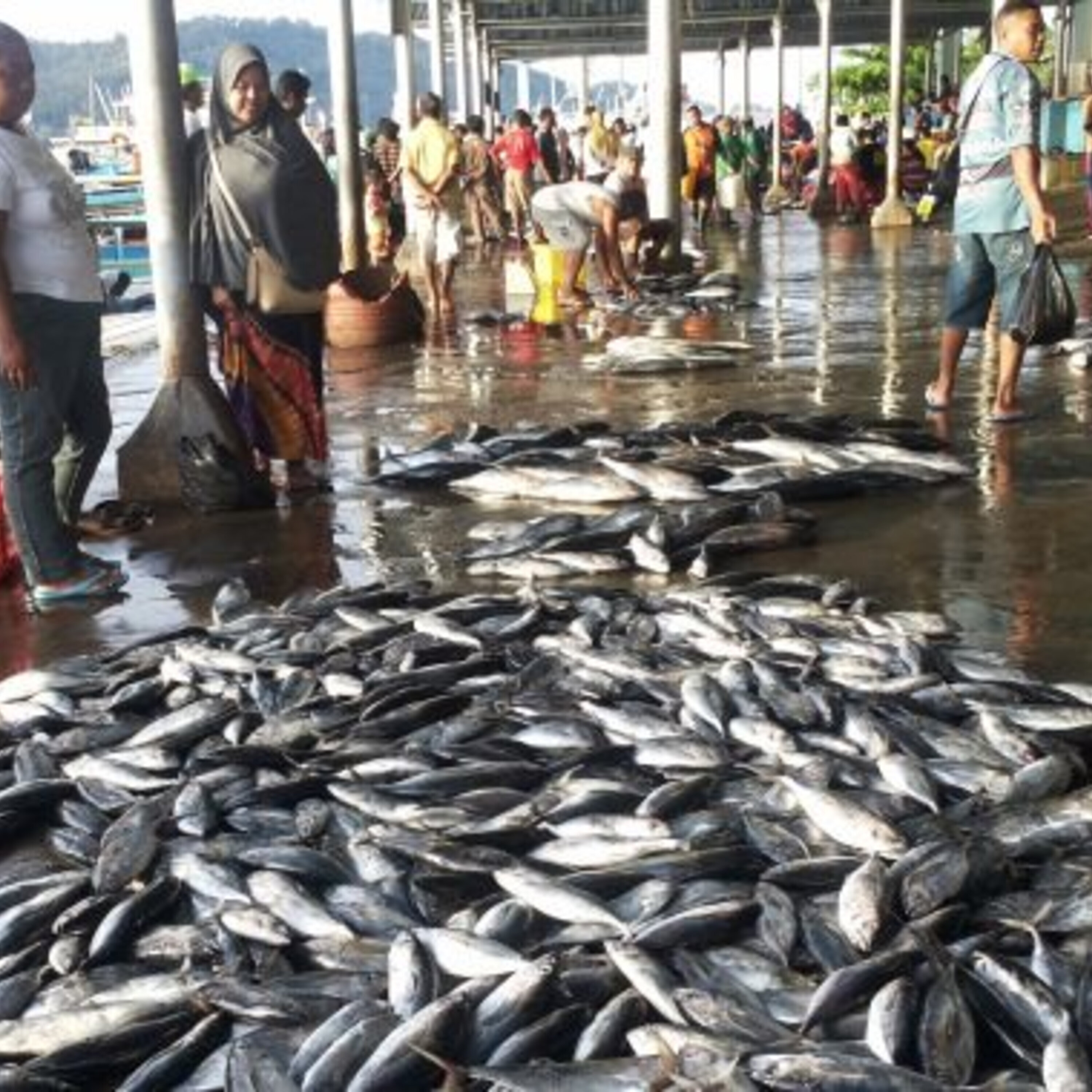 Sustainable seafood and a news roundup