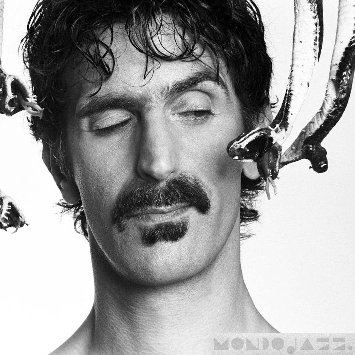 Frank Zappa's Jazz Allures, Part 2