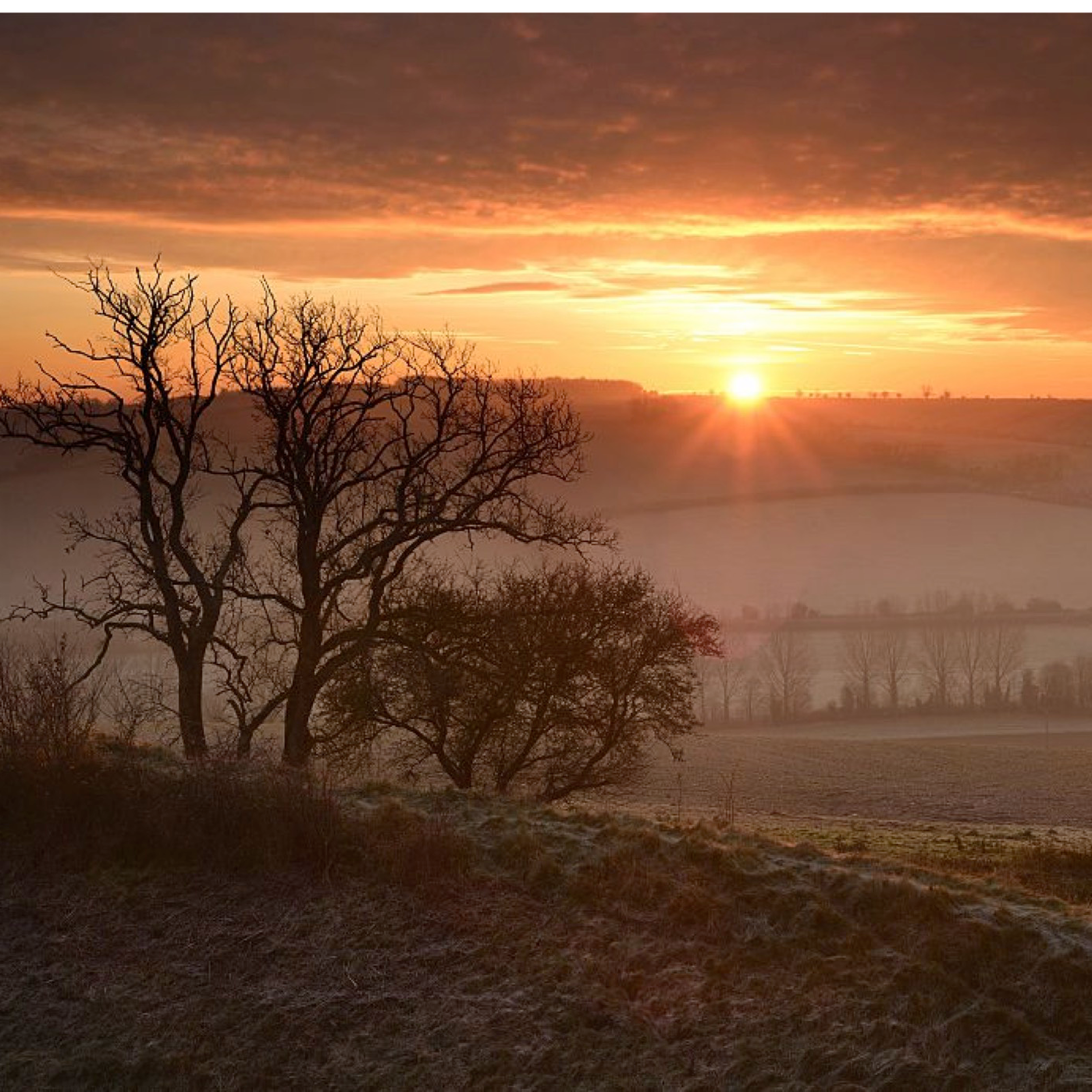 54. A gentle nature ramble in rural Dorset – with a magnificent dawn chorus