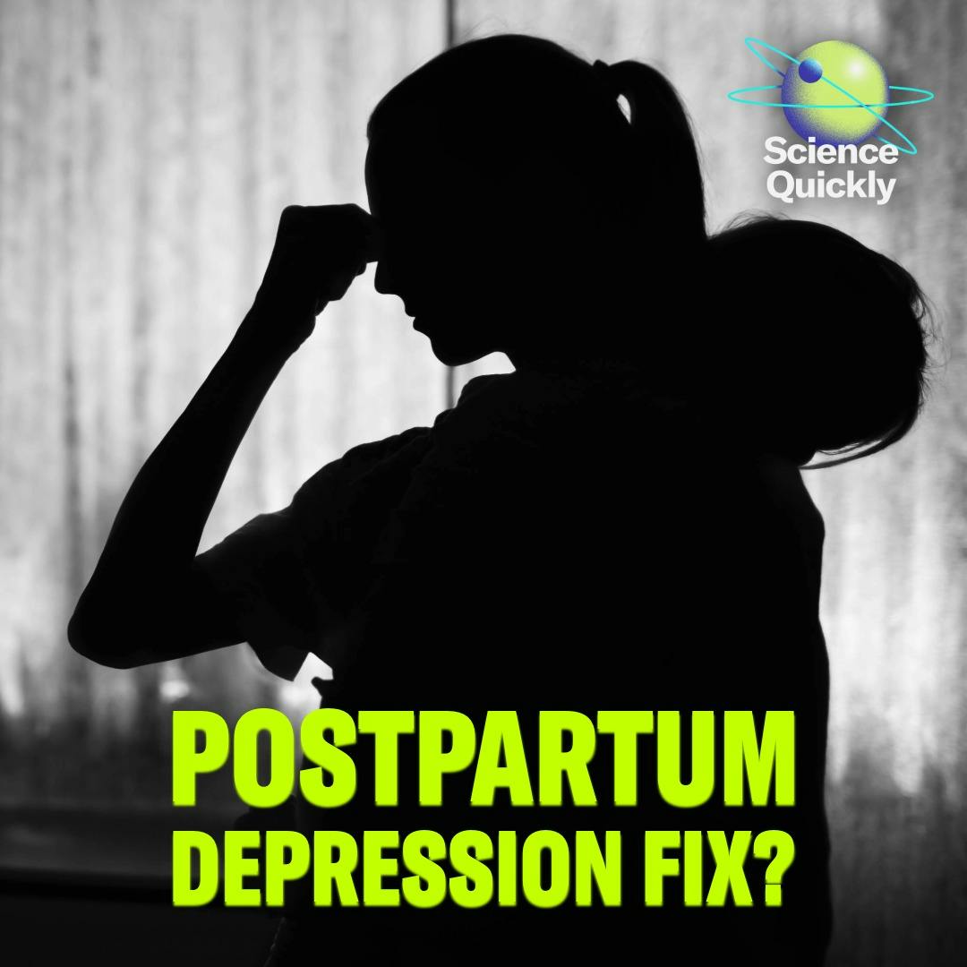 New Hope for Treating Postpartum Depression? New Hope for Treating Postpartum Depression?