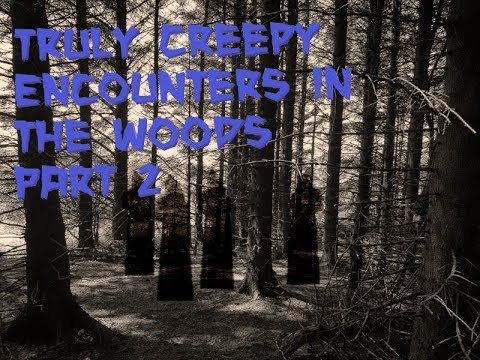 Truly Creepy Encounters in the Woods Part 2 episode artwork