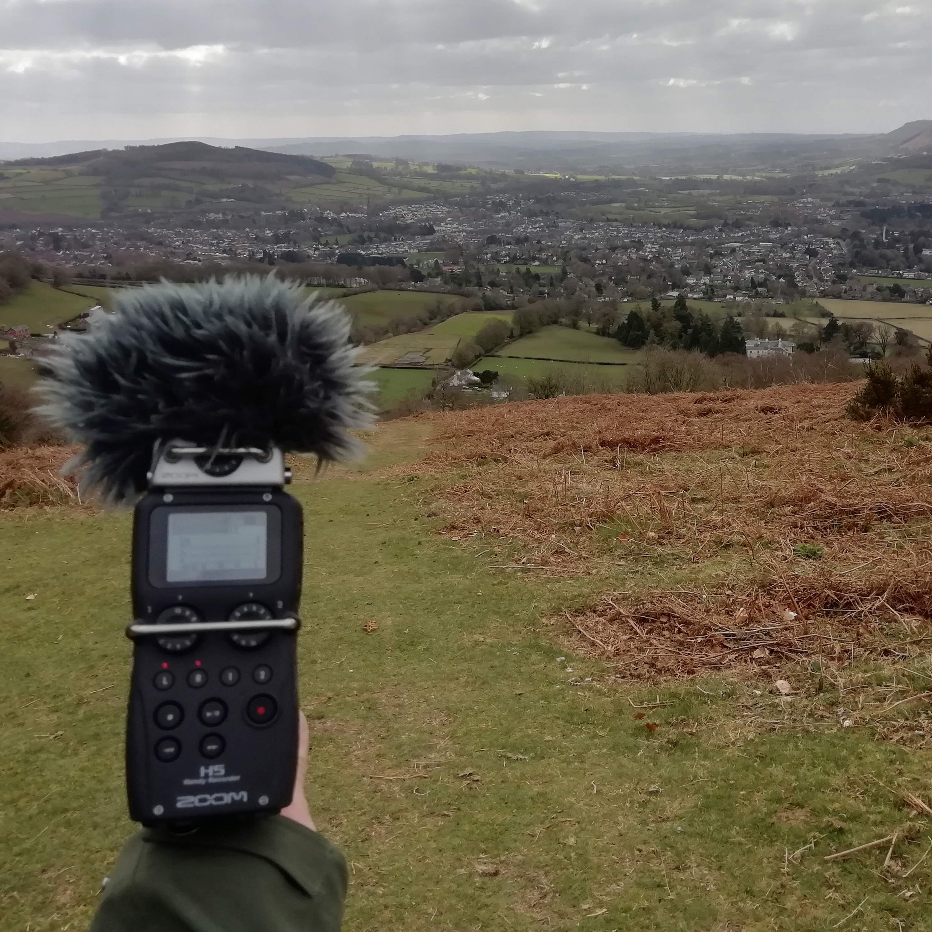 53. Climb into the Brecon Beacons and wander springtime oak woods