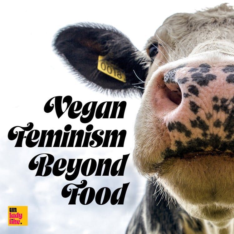 Vegan Feminism Beyond Food