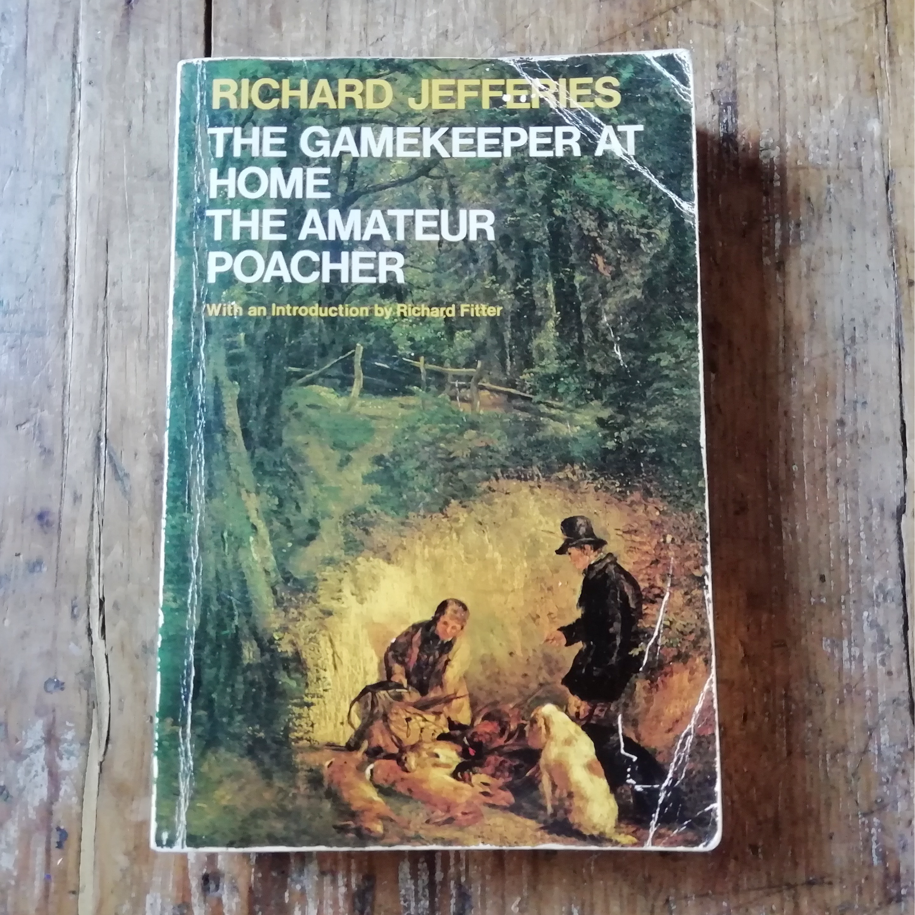 52. Explore the wild ways of Wessex and meet a gentle rural rogue – in a classic book of the countryside