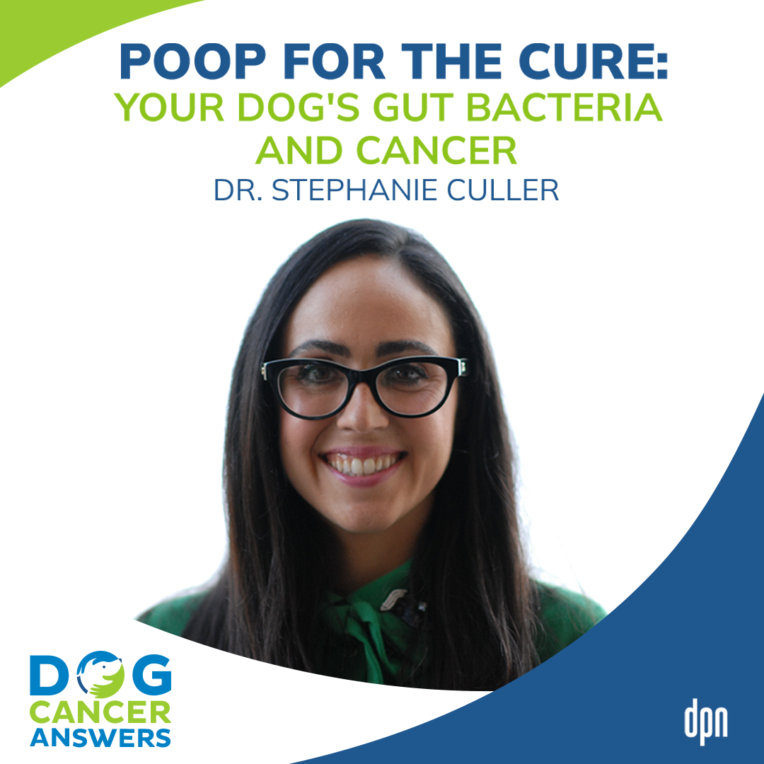 Poop for the Cure: Your Dog’s Gut Bacteria and Cancer | Dr. Stephanie Culler #159