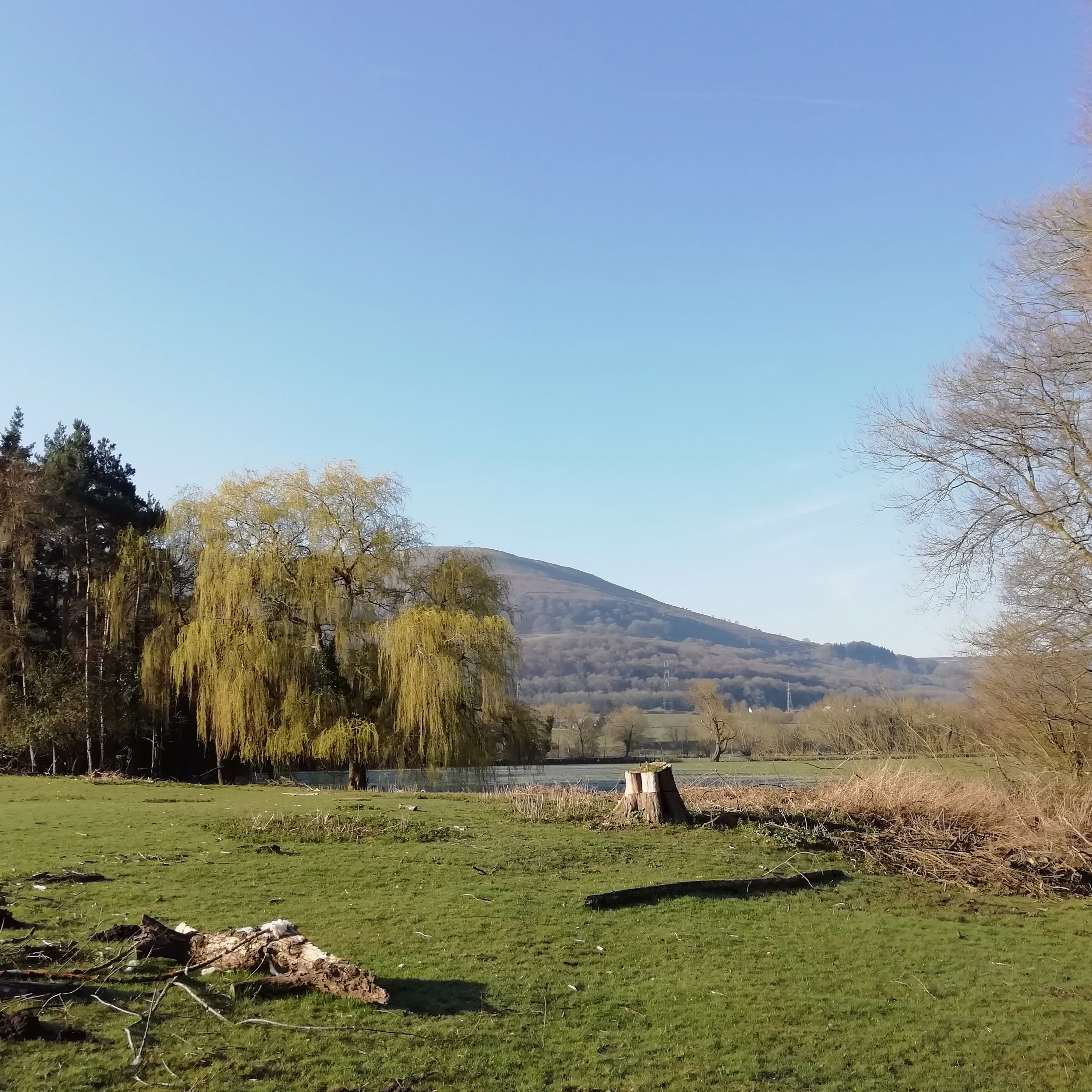 50. A gentle springtime stroll along a stream in Monmouthshire
