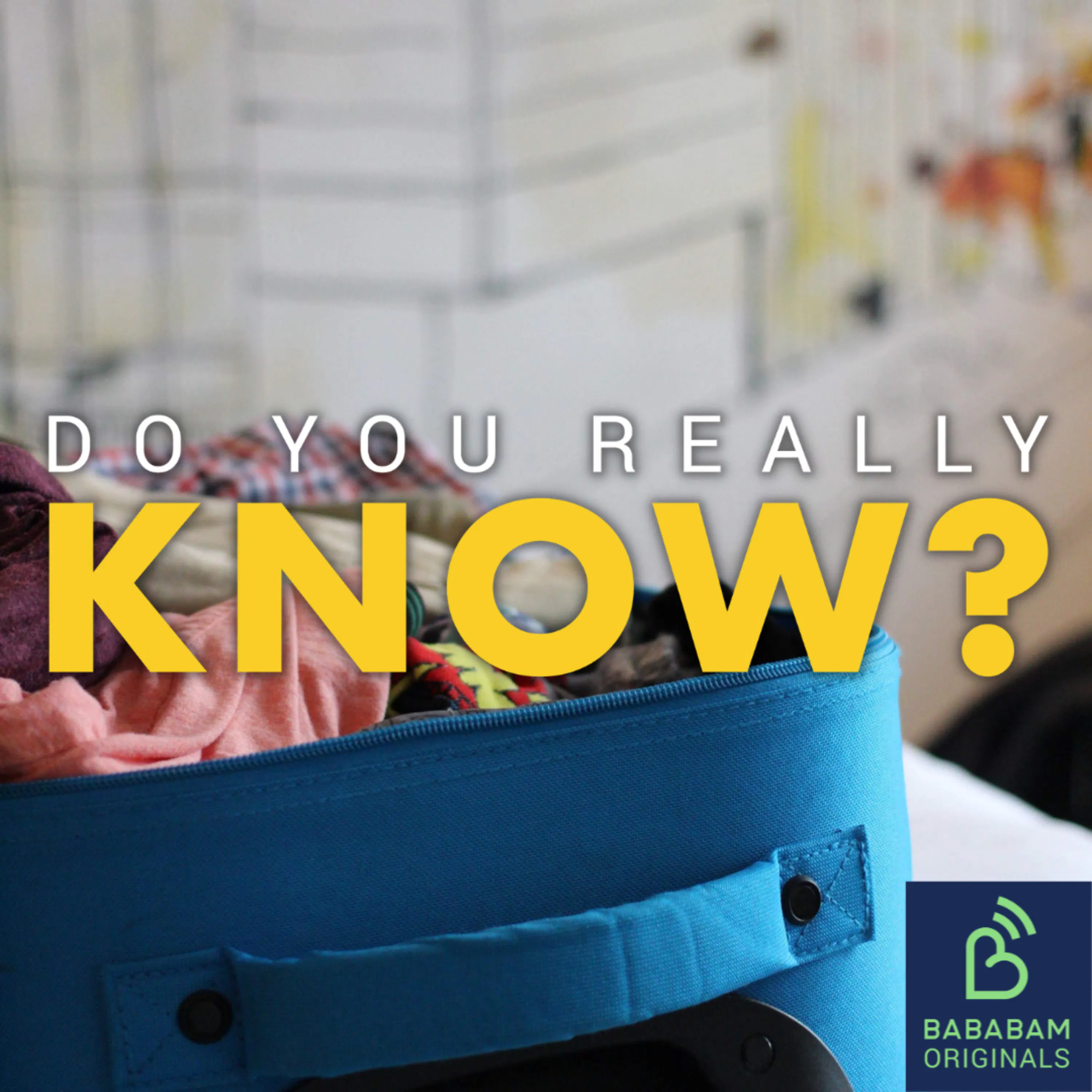 Cover art for the episode "How can you avoid bed bugs when you travel?" from Do you really know?