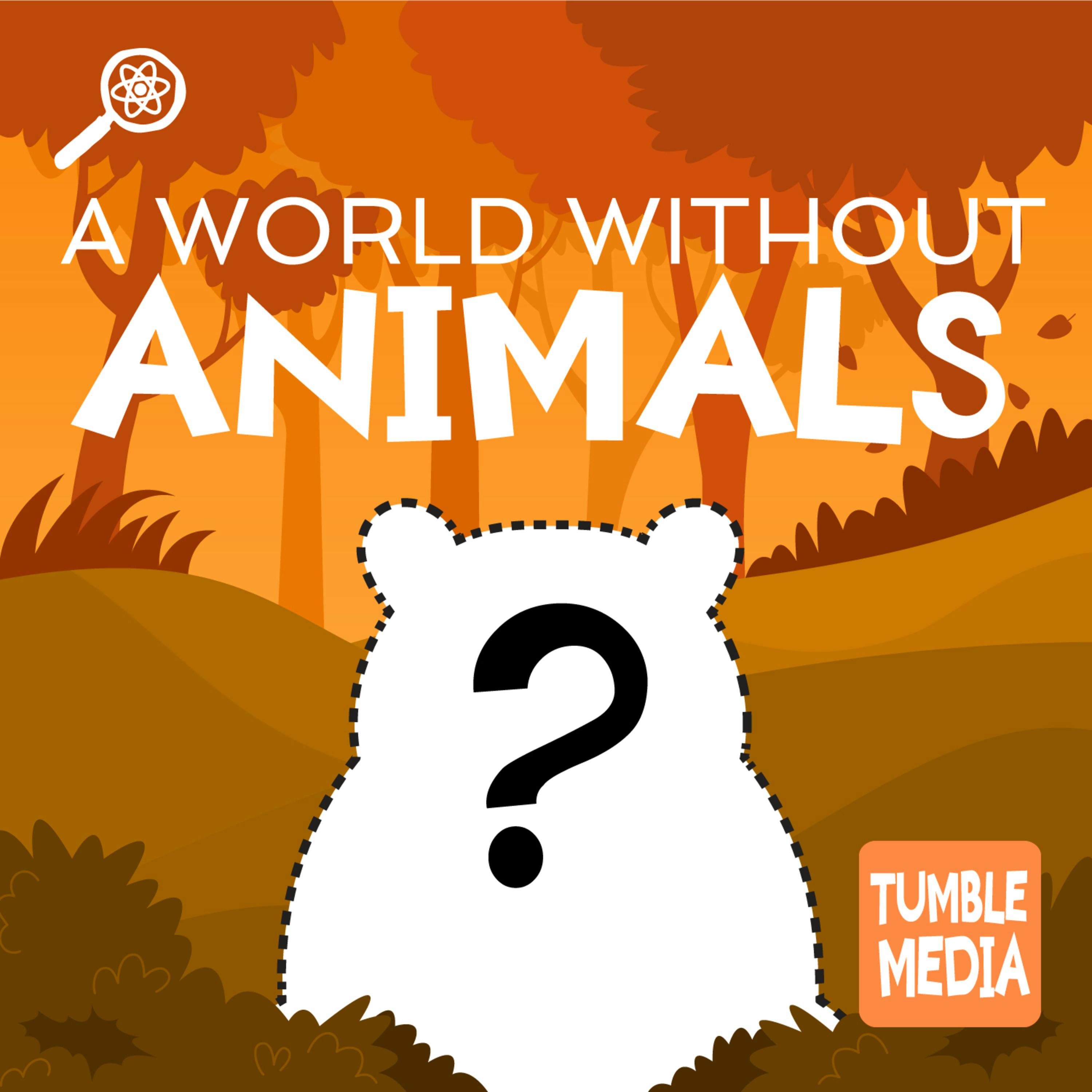 What If There Were No Animals?