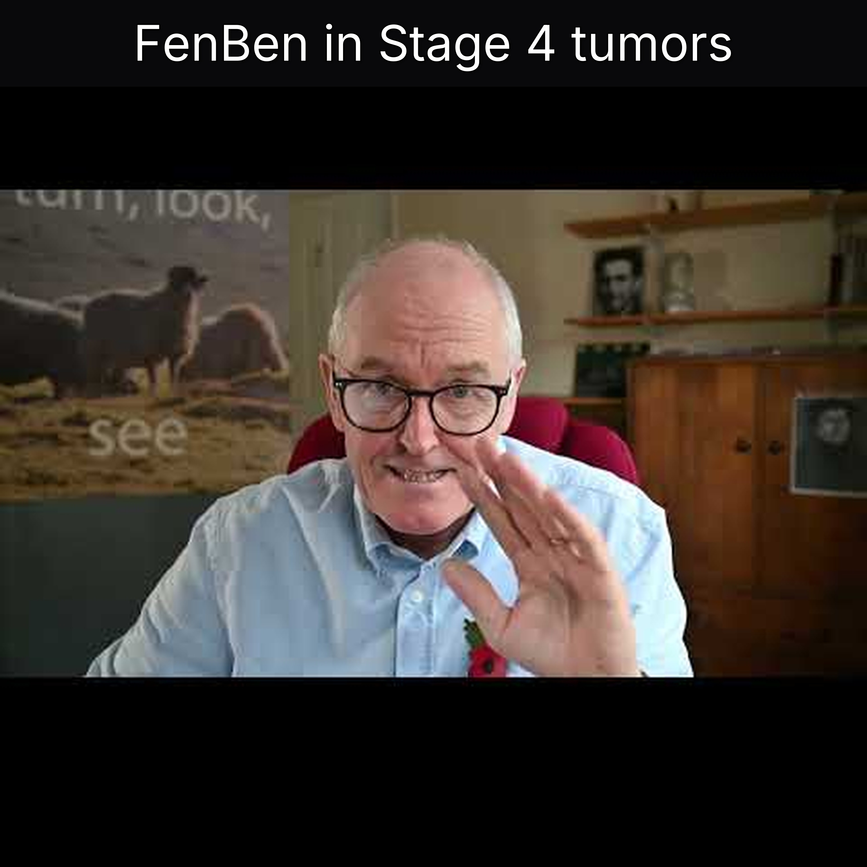 FenBen in Stage 4 tumors
