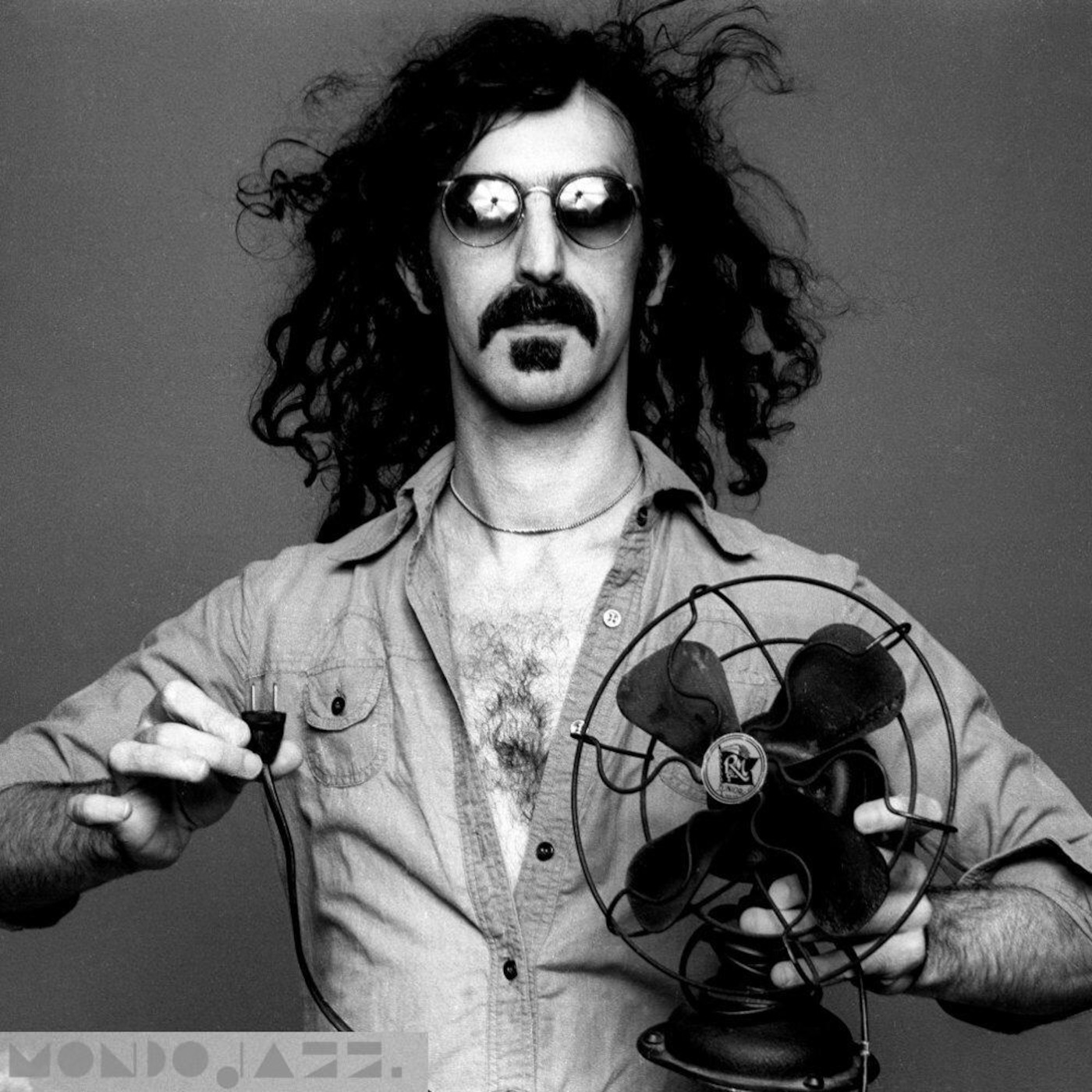 Frank Zappa's Jazz Allures