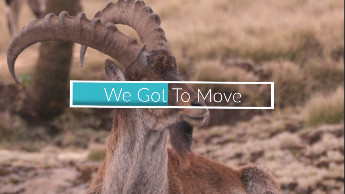 230- We Got To Move episode artwork