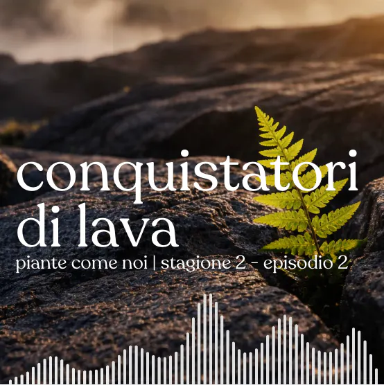 Conquistatori di lava - Stagione 2 | Episodio 2 episode artwork