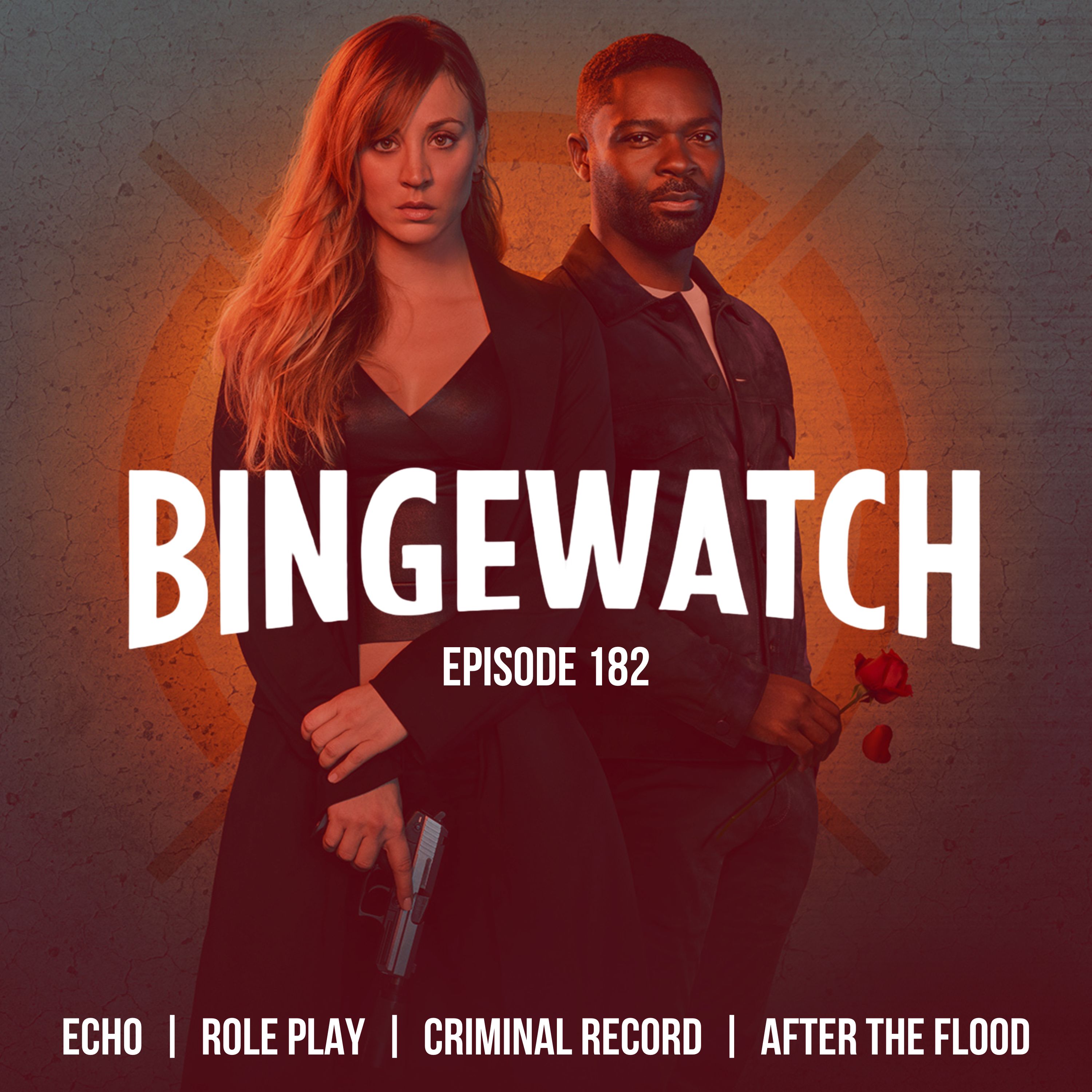 Echo  |  Role Play  |  Criminal Record  |  After the Flood