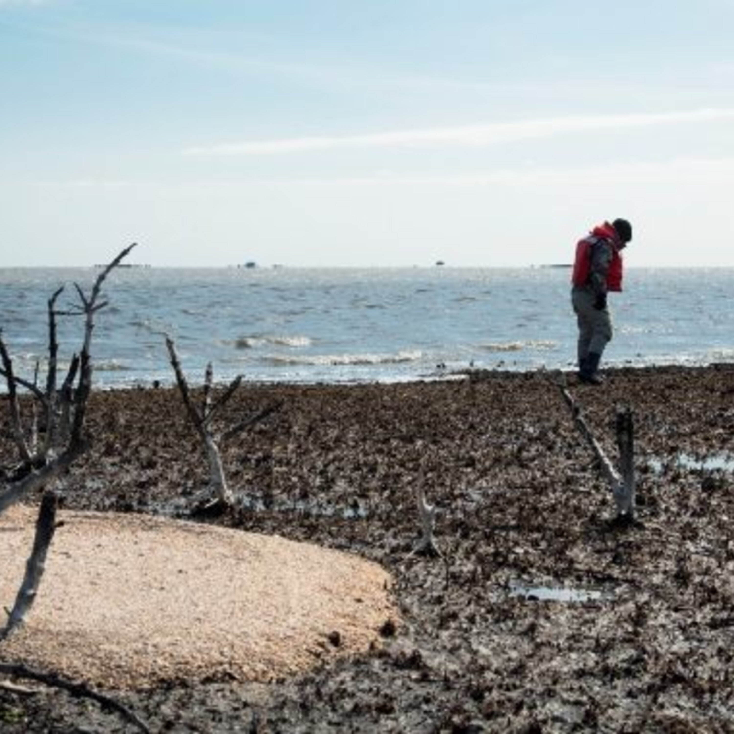 The Deepwater Horizon disaster:  Five years later.