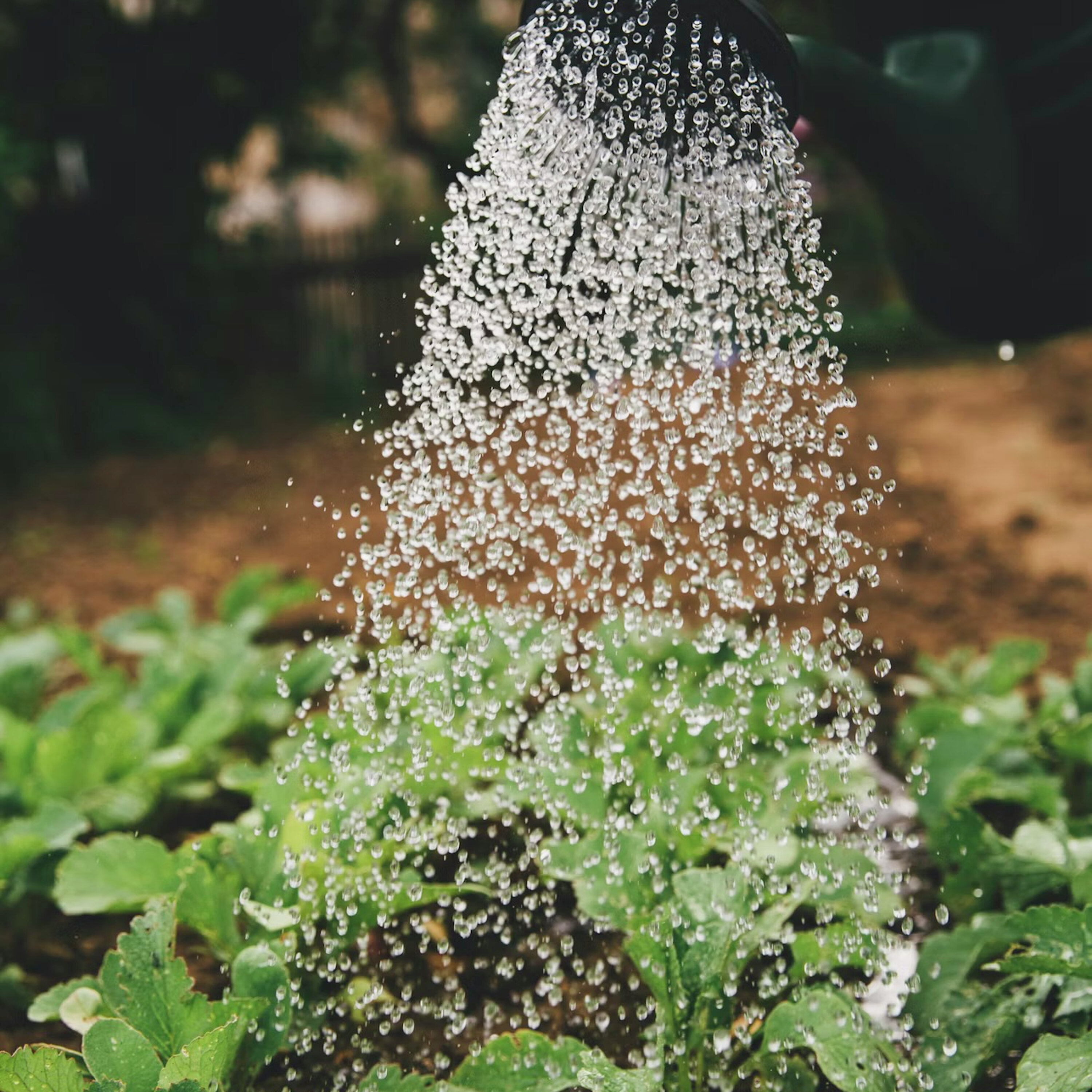Ep. 455: Remix ‘26 & Zen Gardening