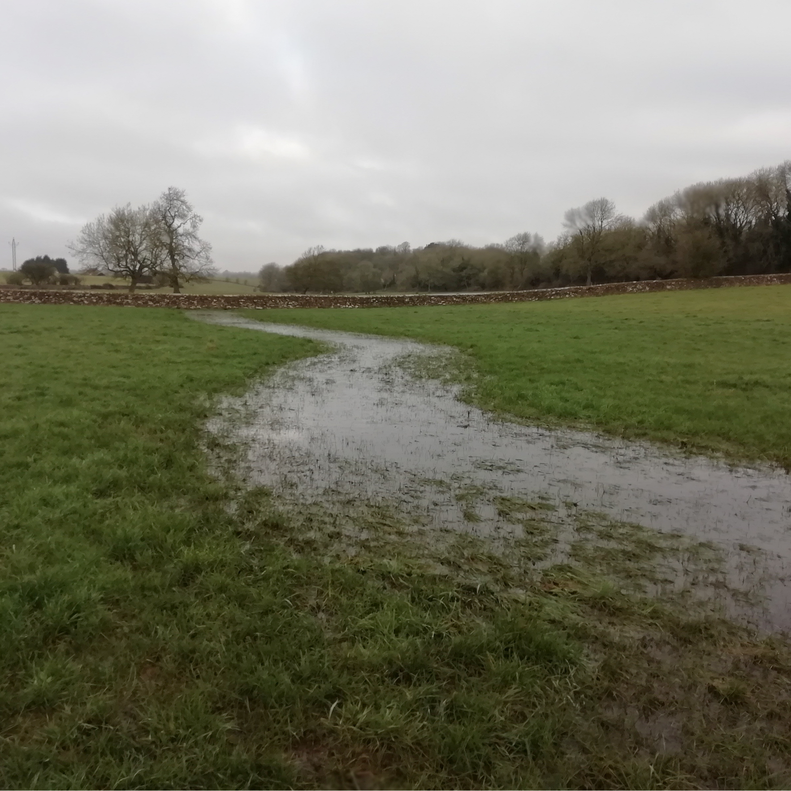 44. The quest to find the true source of the Thames continues…