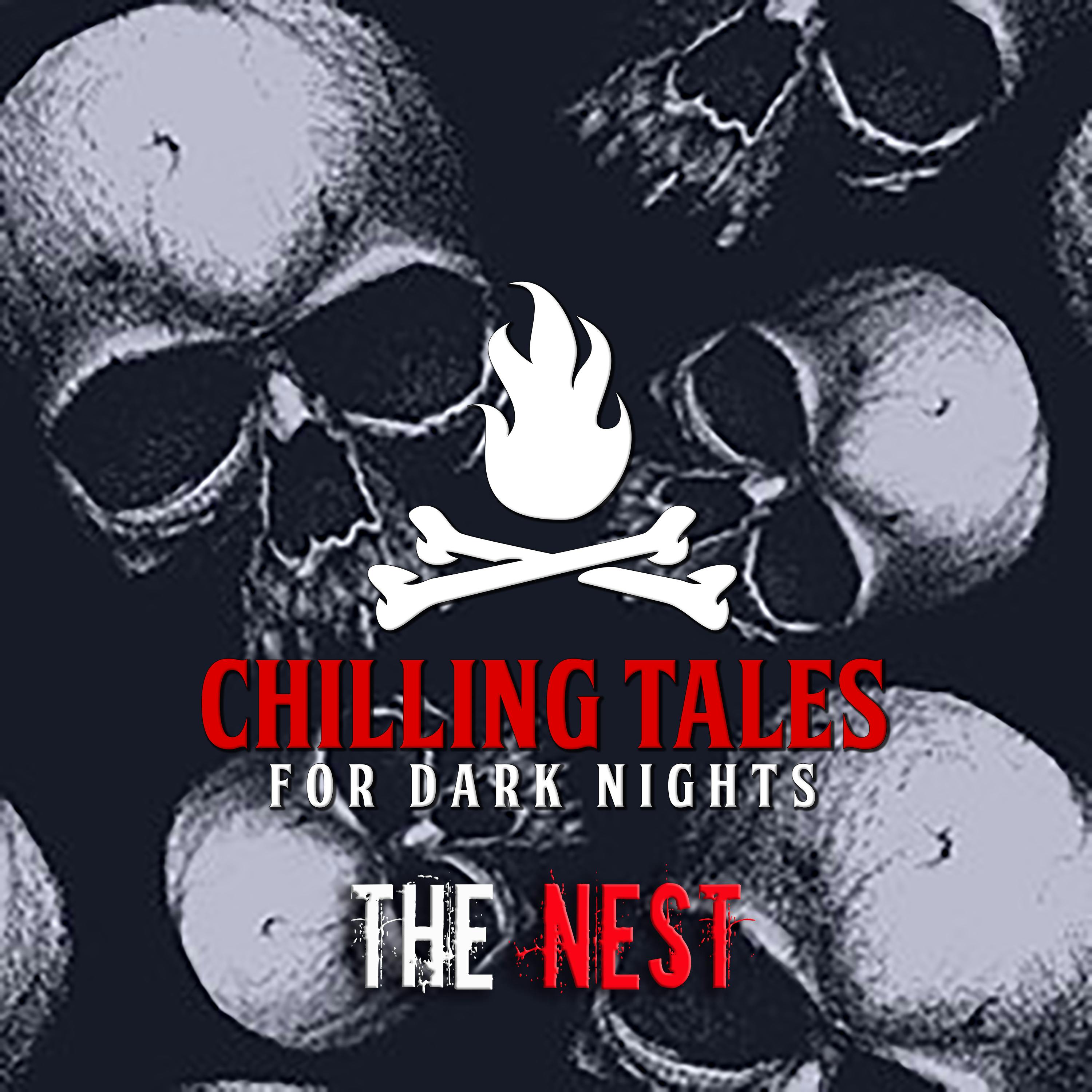 208: The Nest - Chilling Tales for Dark Nights