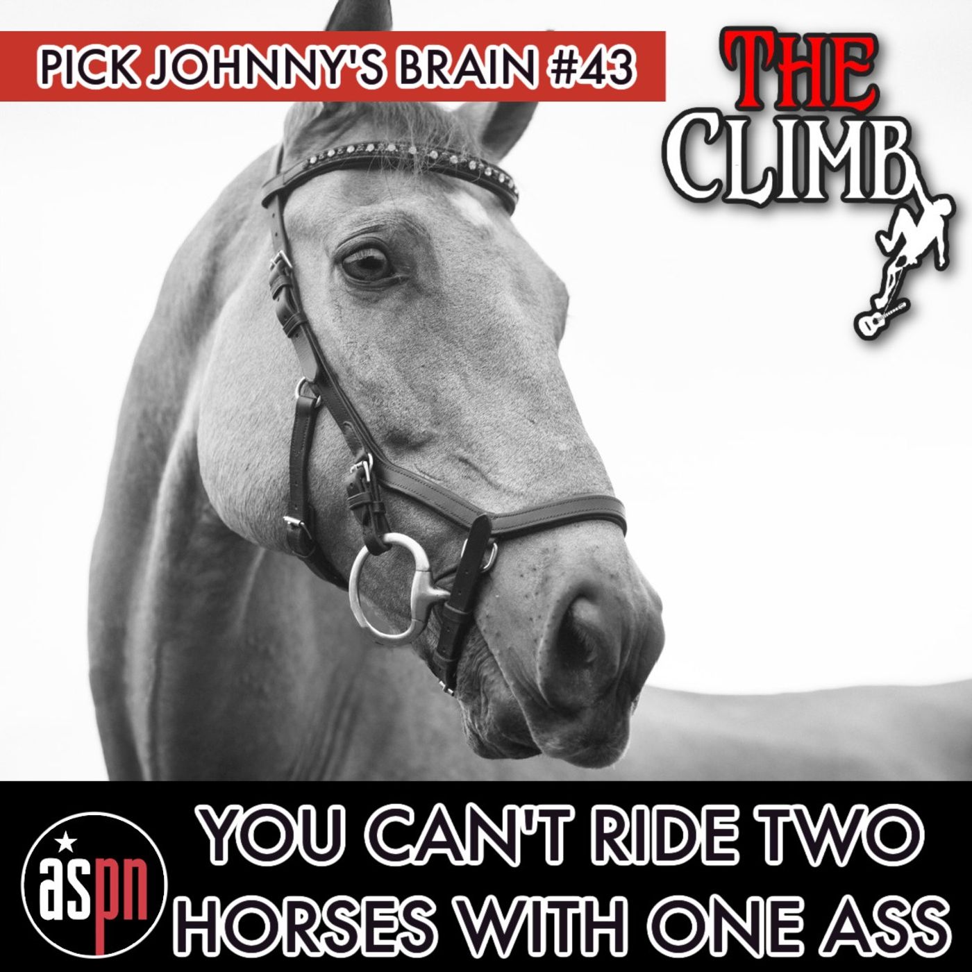 Pick Johnny's Brain #43: You Can't Ride Two Horses With One Ass