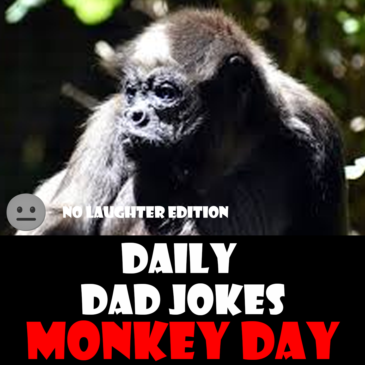 [No Laughter Version] Monkey Day! 14 December 2025