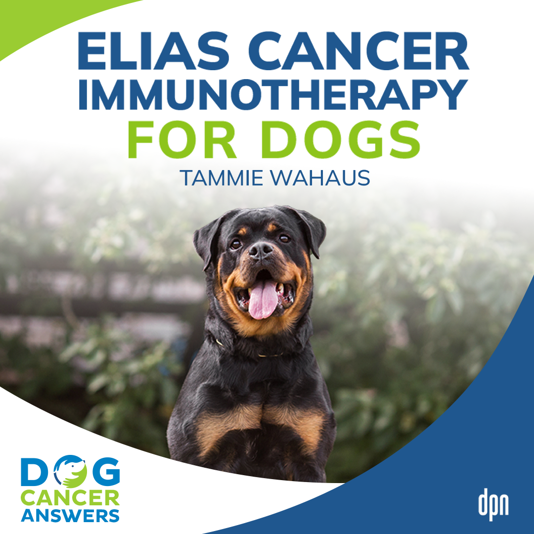 ELIAS Cancer Immunotherapy for Dogs | Tammie Wahaus #169