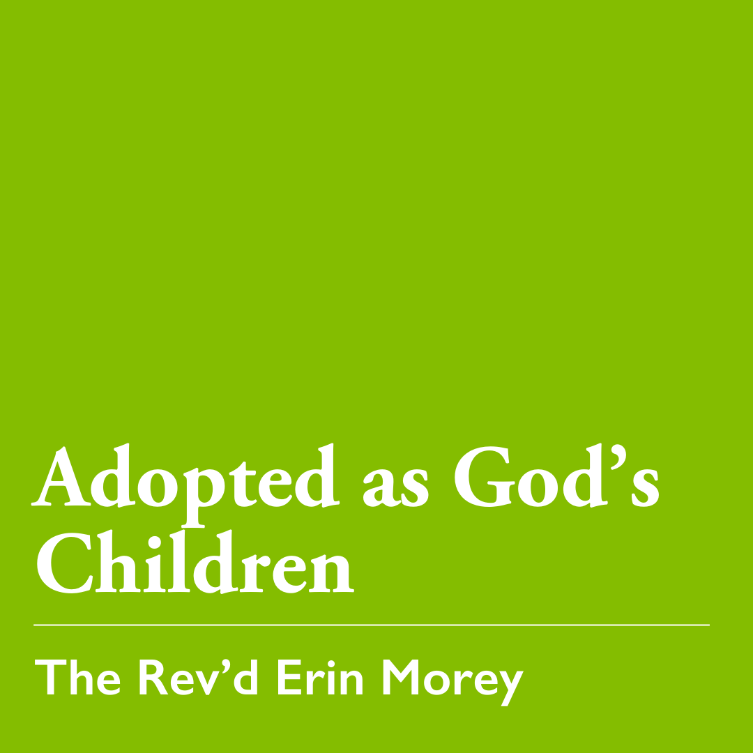 Epiphany 1 (A): Adopted as God's Children – Jan. 11, 2026