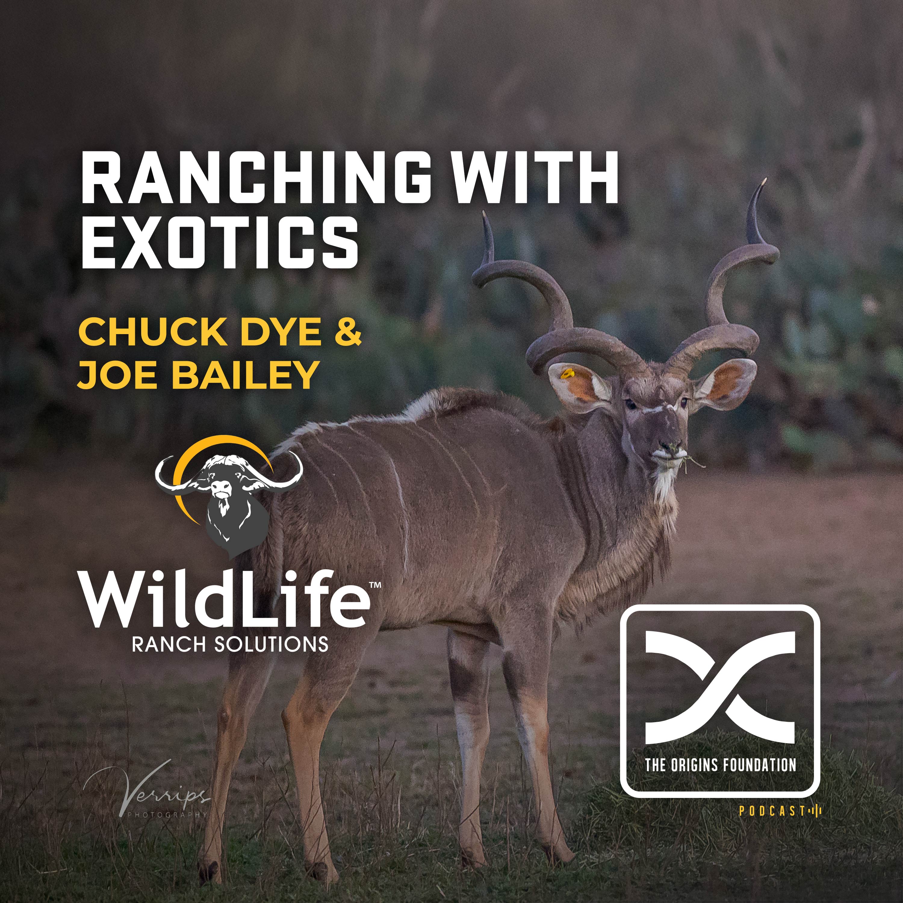 Episode 588 - Wildlife Ranch Solutions || Ranching With Exotics
