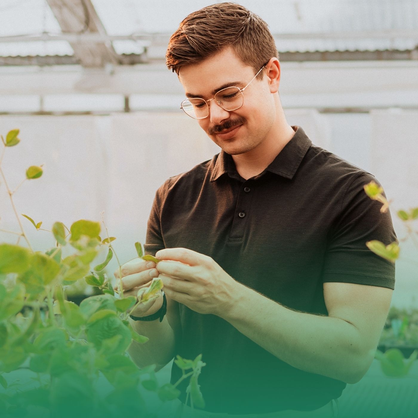 Global genomic research targets herbicide resistance