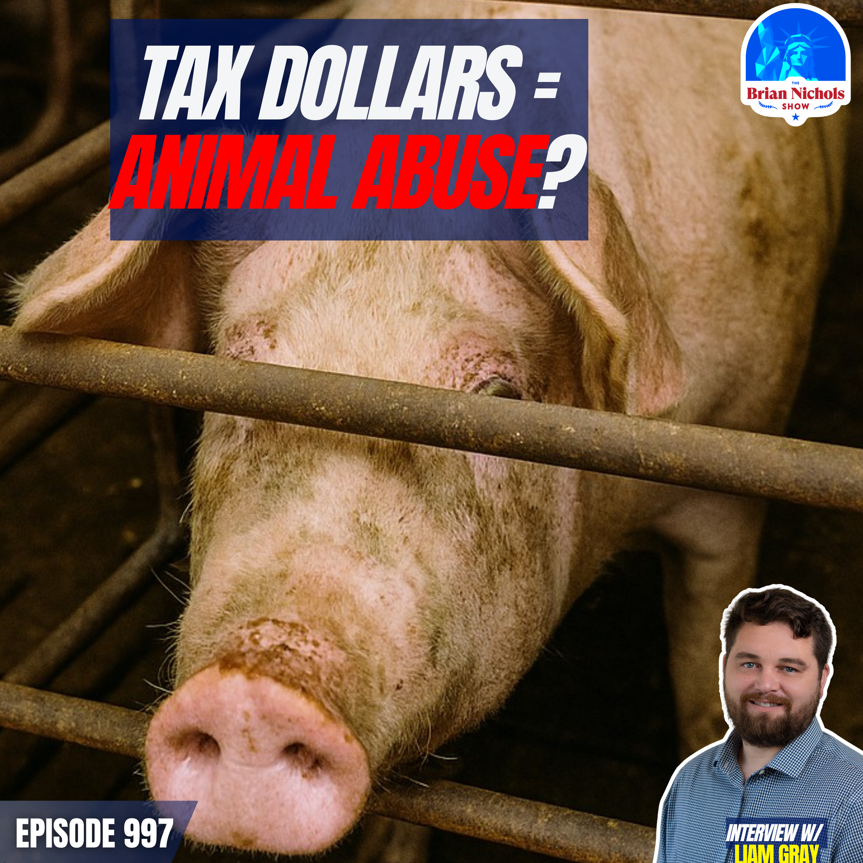 997: What’s Really in Your Meat from the Store?