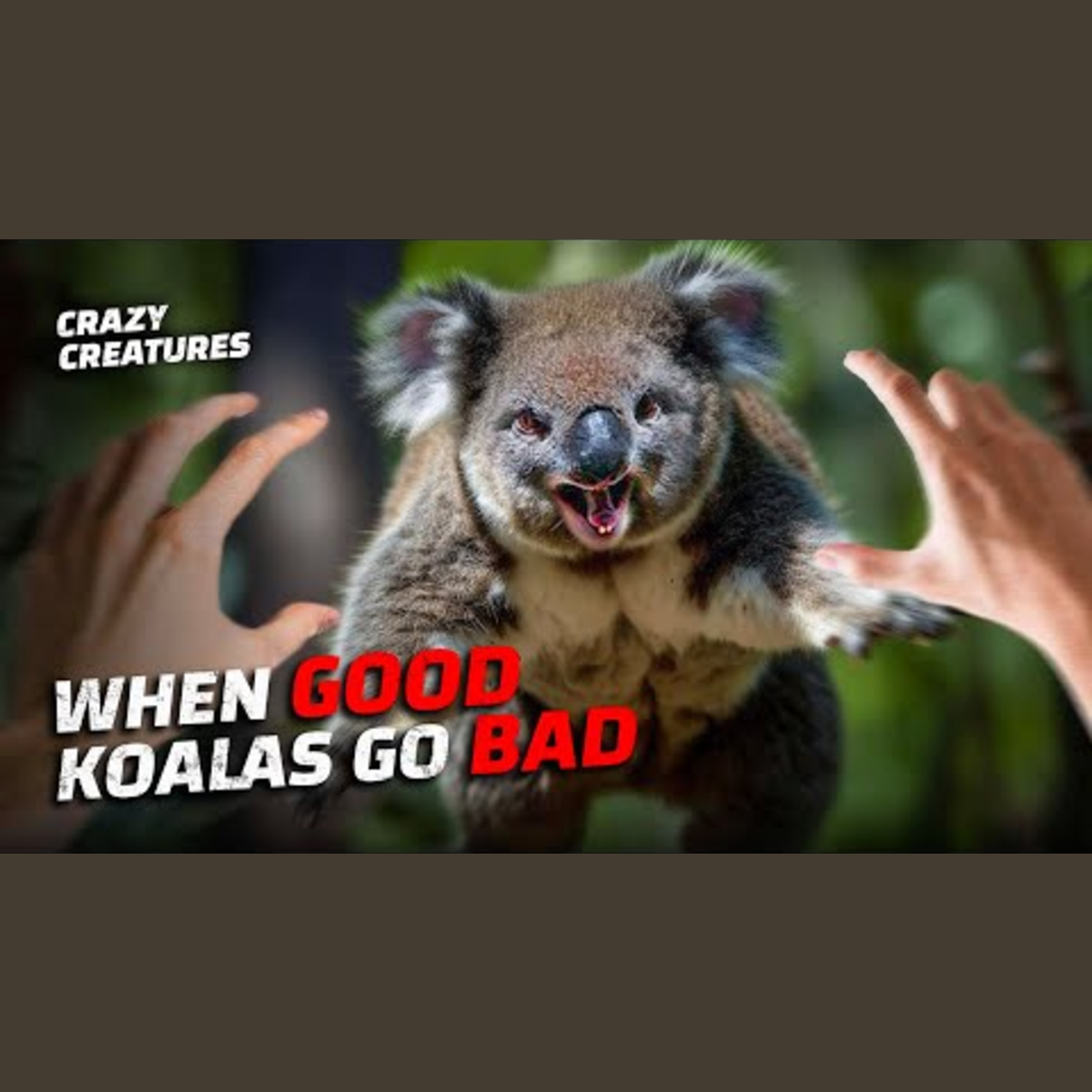 Bizarre Animals That Seem Like Urban Legends episode artwork