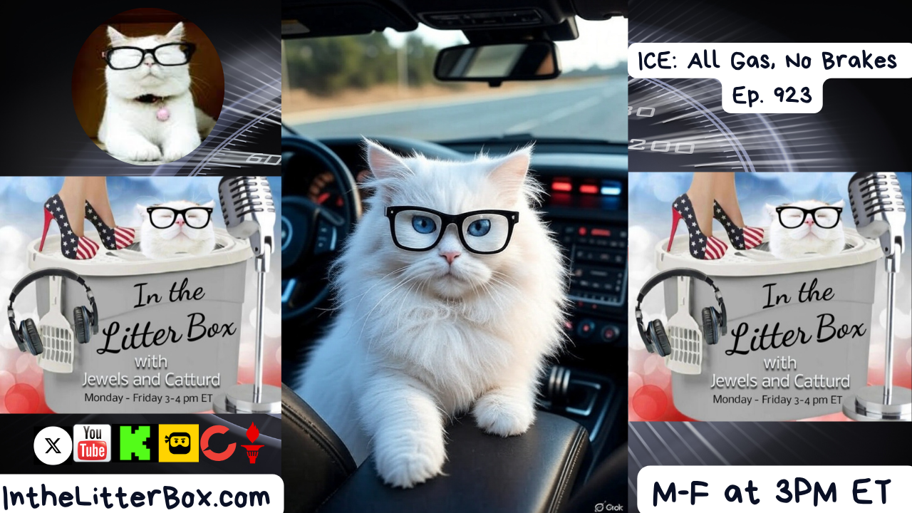 ICE: All Gas, No Brakes | In the Litter Box w/ Jewels & Catturd – Ep. 923 – 11/14/2025