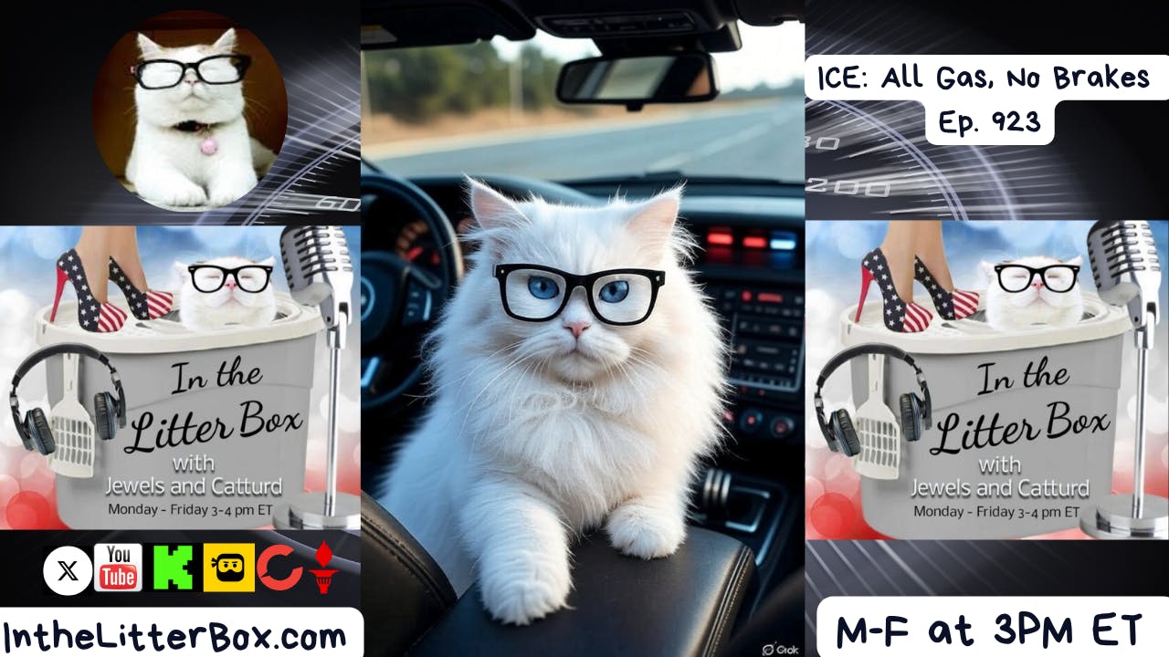 ICE: All Gas, No Brakes | In the Litter Box w/ Jewels & Catturd – Ep. 923 – 11/14/2025 ICE: All Gas, No Brakes | In the Litter Box w/ Jewels & Catturd – Ep. 923 – 11/14/2025