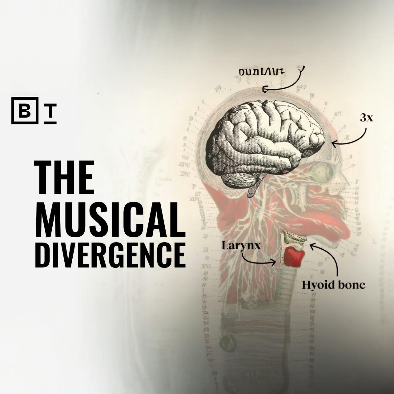 How humans evolved music | Michael Spitzer How humans evolved music | Michael Spitzer