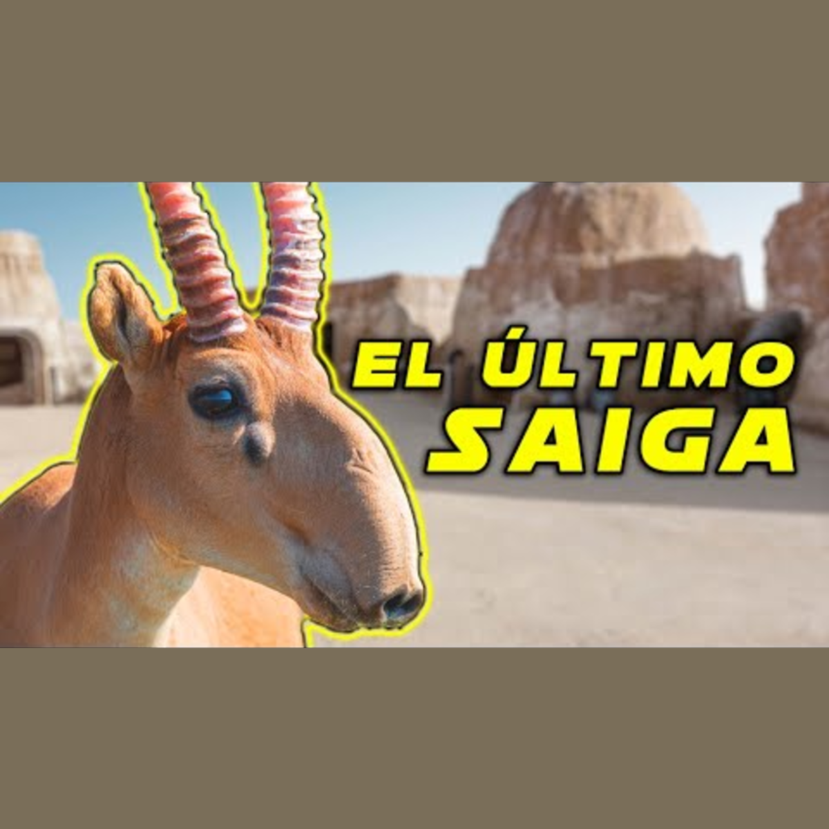 Animalogic En Español