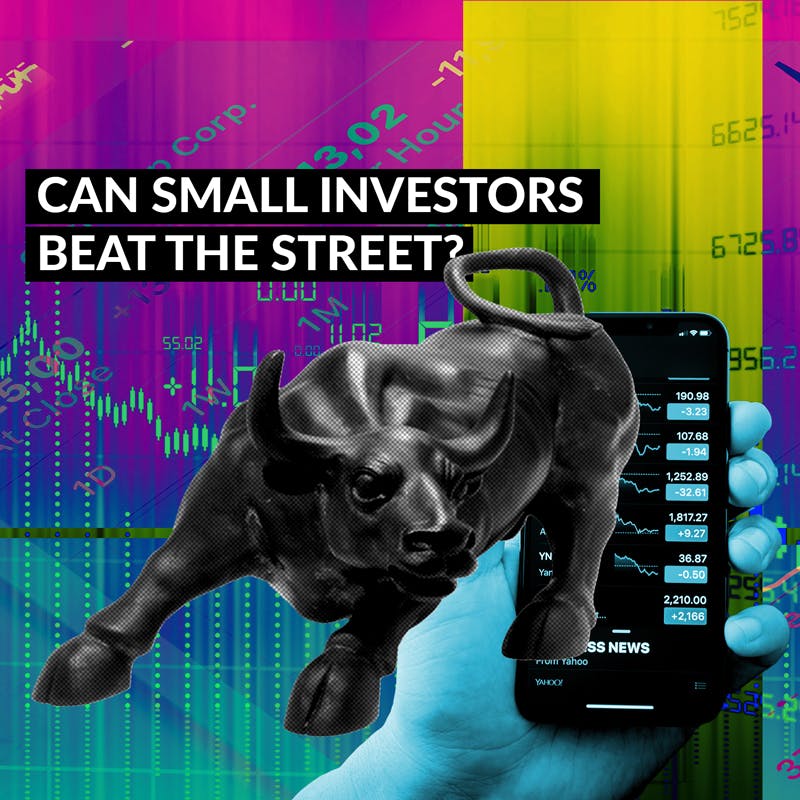 Agree to Disagree: Can Small Investors Beat The Street?