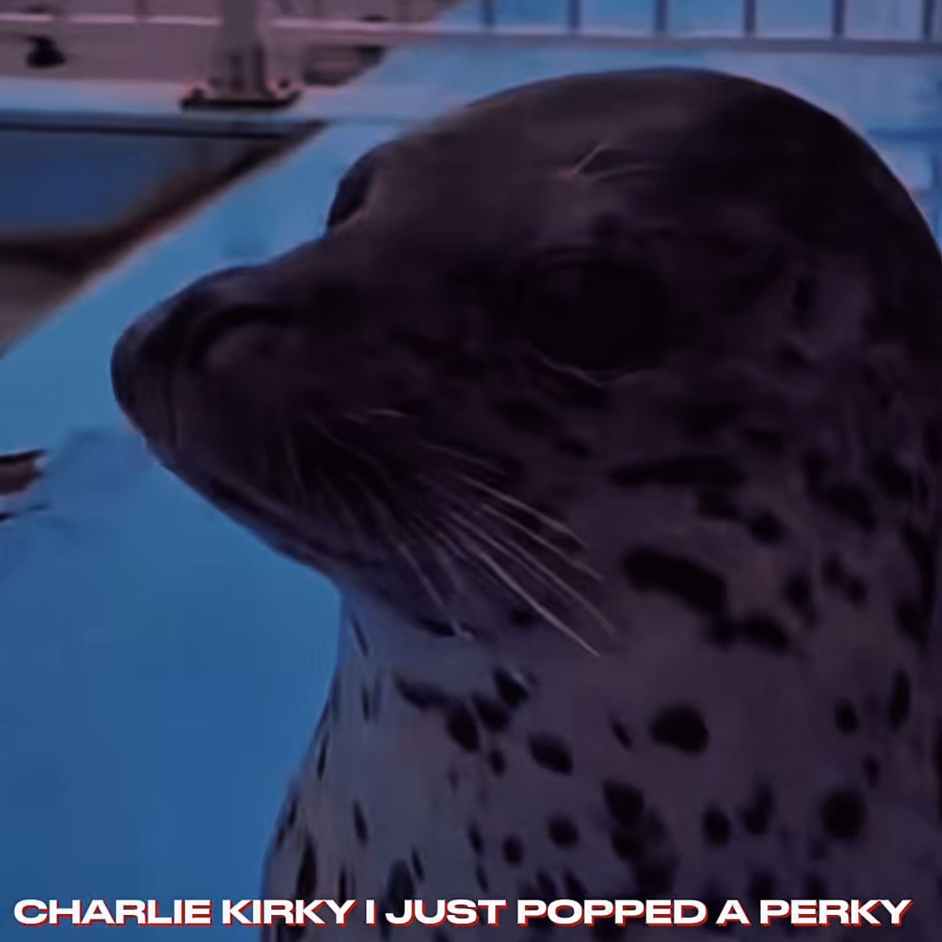 CHARLIE KIRKY I JUST POPPED A PERKY (TikTok Song)