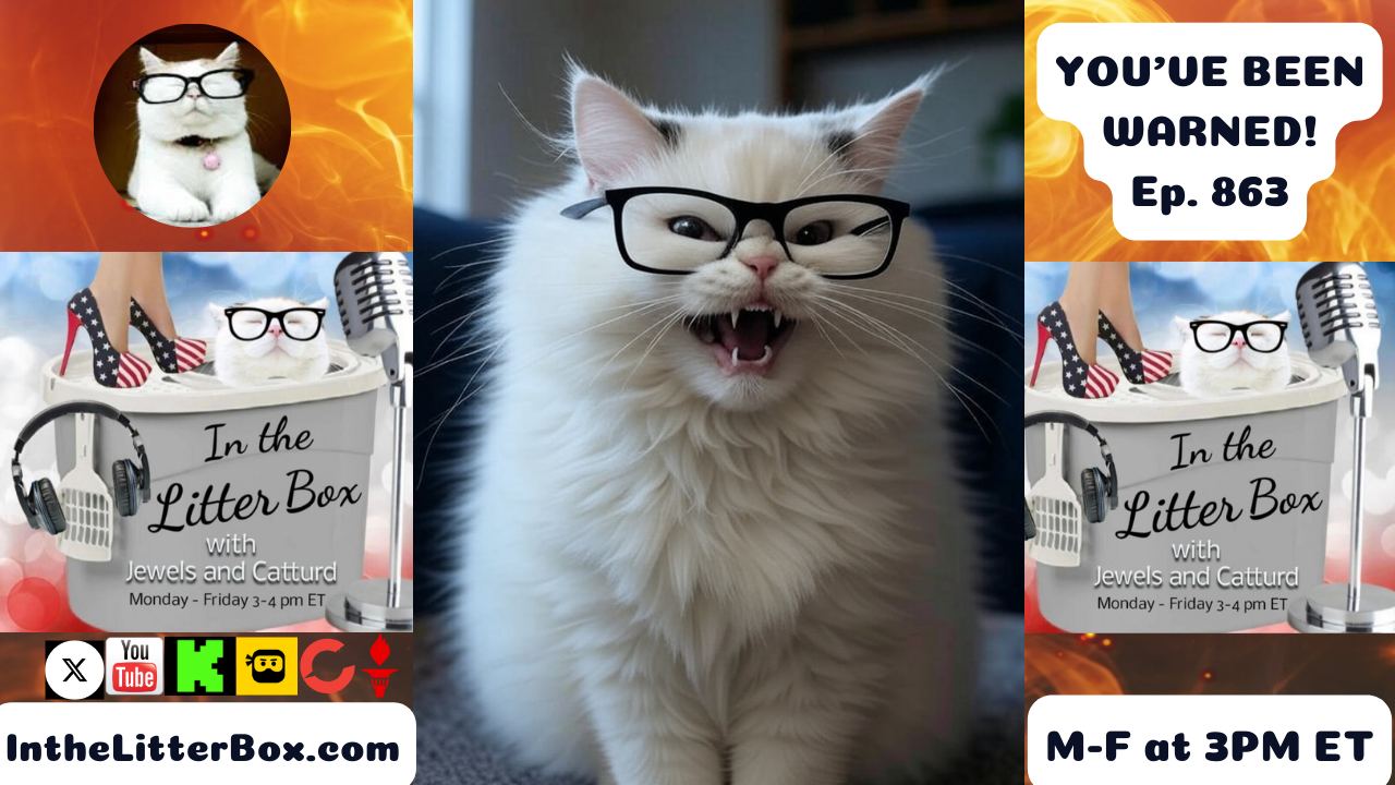 YOU'VE BEEN WARNED! | In the Litter Box w/ Jewels & Catturd – Ep. 863 – 8/14/2025