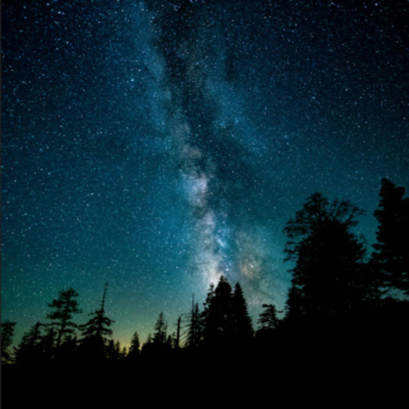 Crickets Night: 8-Hour Serene Nighttime Soundscape for Blissful Sleepiness Crickets Night: 8-Hour Serene Nighttime Soundscape for Blissful Sleepiness