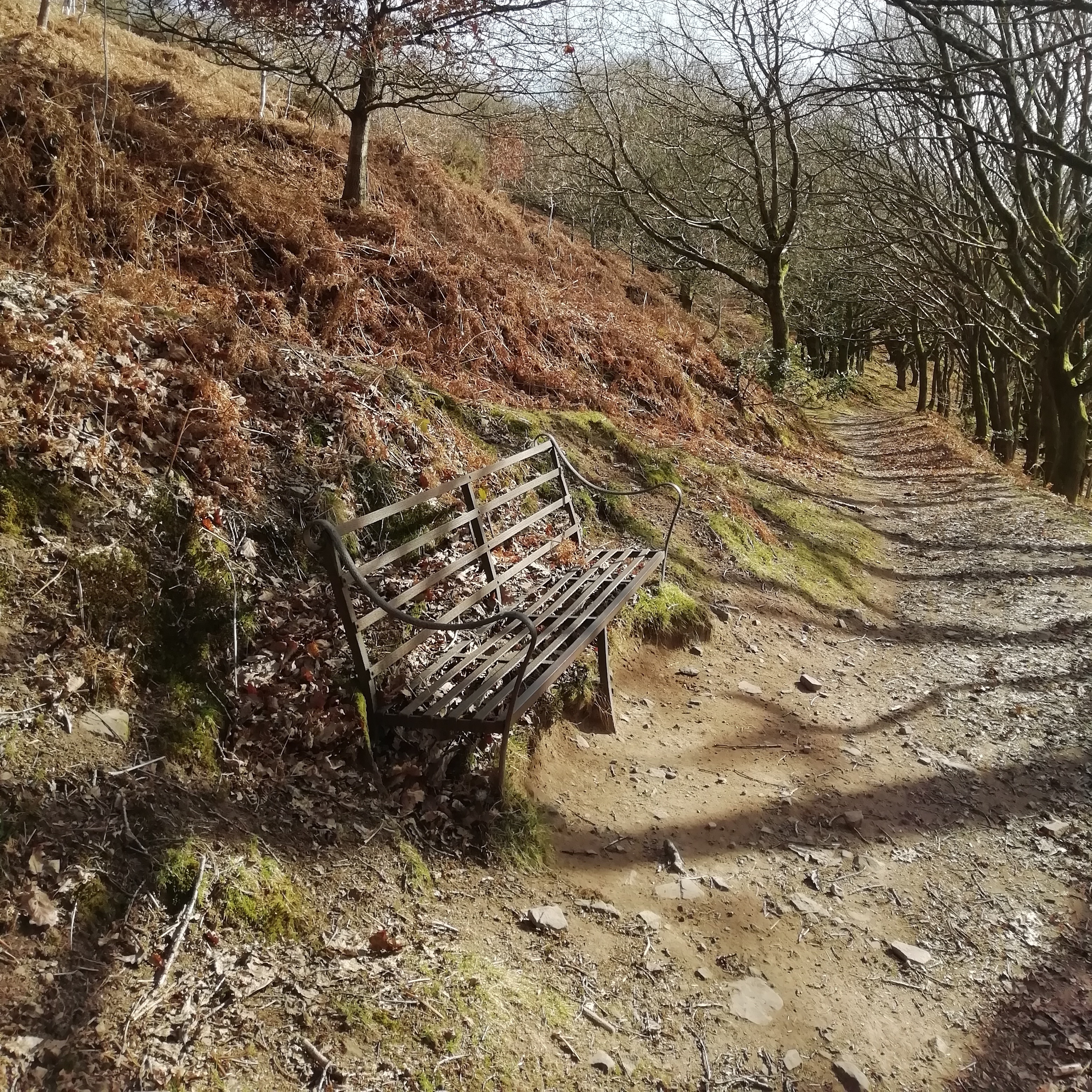 Sound Escape 105: The soothing crunch of leaves on a late winter's day