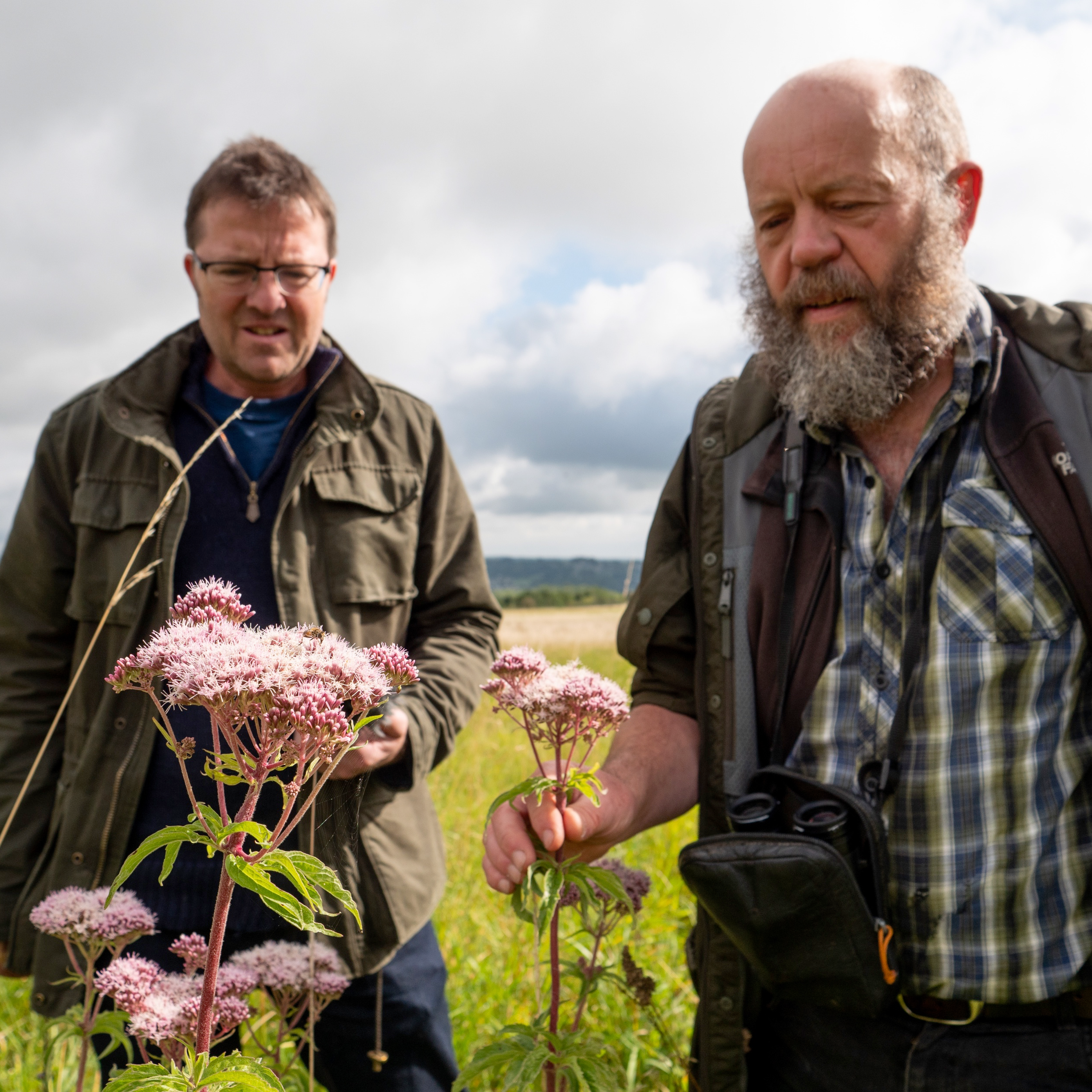 32. Relax with a Cotswold wildlife ramble and hear how wind and solar may provide all of the UK's future energy needs