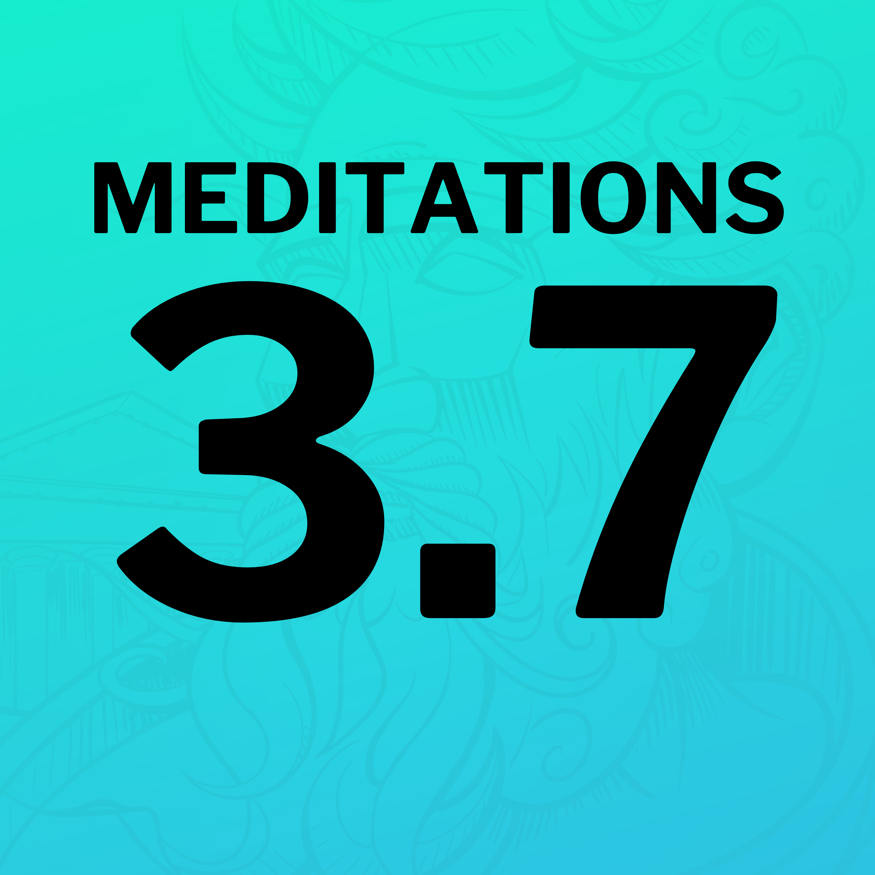 The Commitment To A Moral Life (Meditations 3.7)