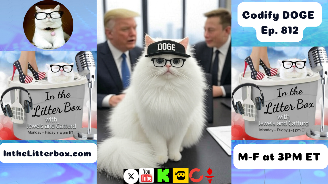 Codify DOGE | In the Litter Box w/ Jewels & Catturd – Ep. 812 – 6/2/2025